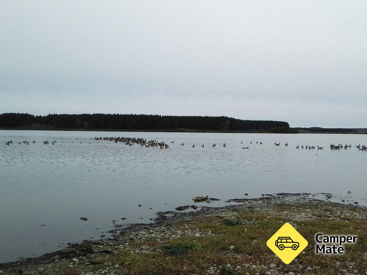 Lake Horowhenua