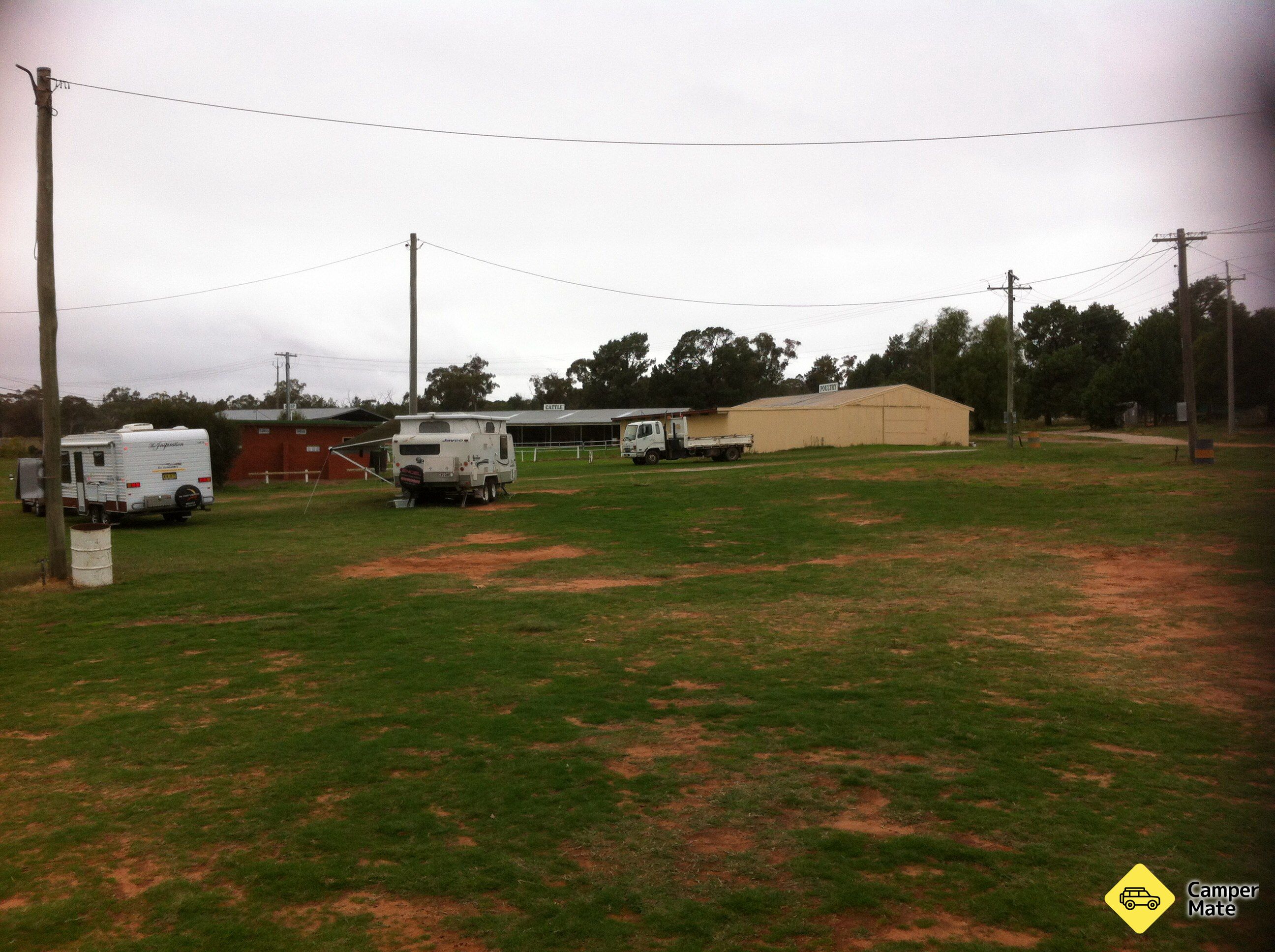 Narrandera Showground - Image 3