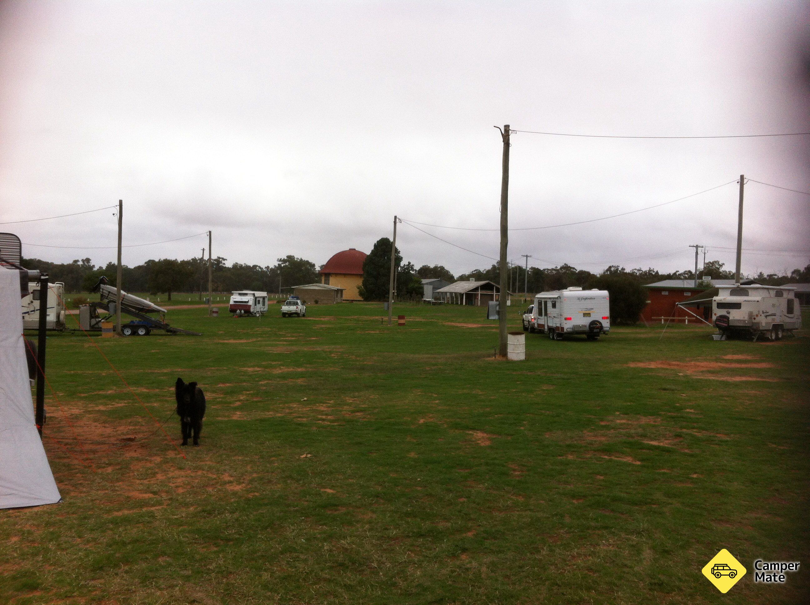 De Narrandera Showground