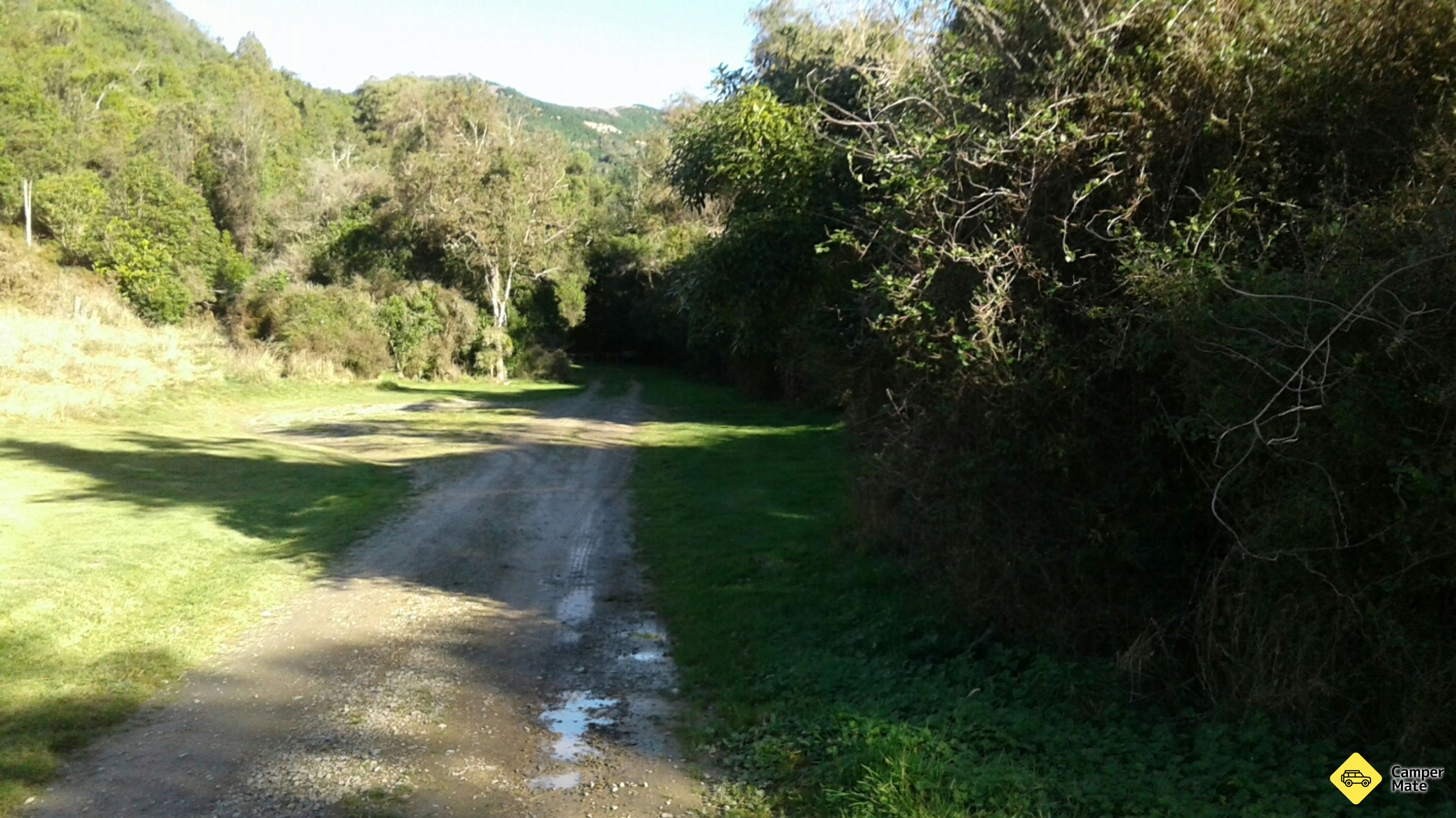 Tabăra liberă Gunns Bush