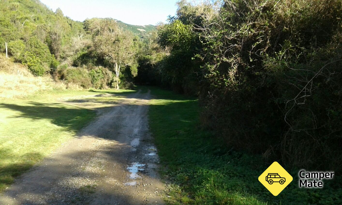 Gunns Bush camp libre