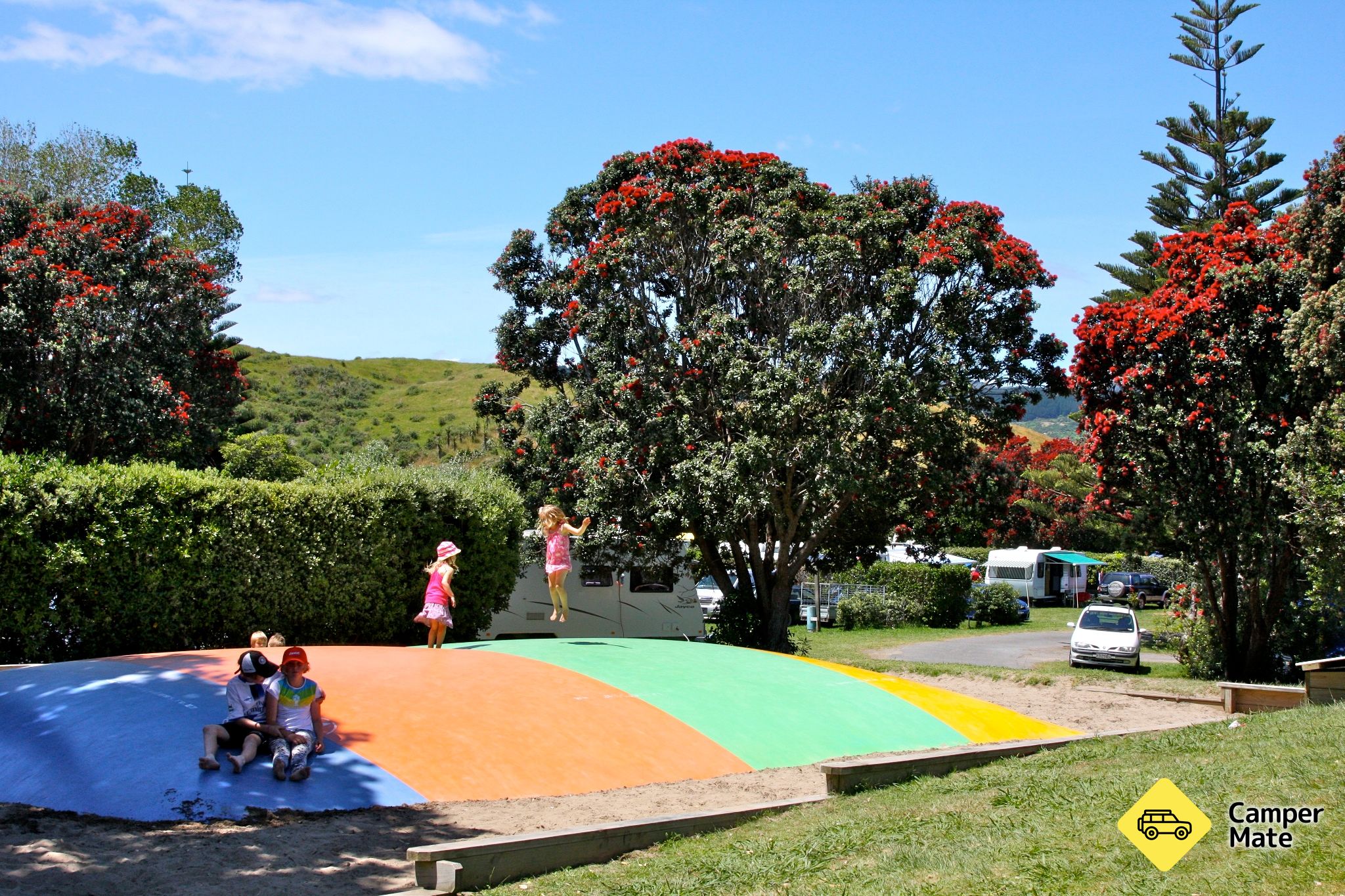 Paekakariki Holiday Park - Image 2