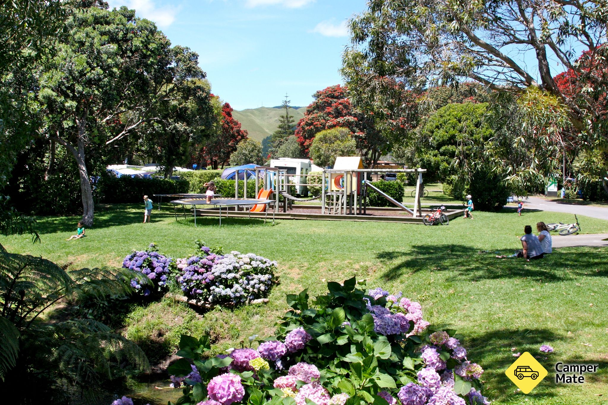 Paekakariki Holiday Park - Image 3