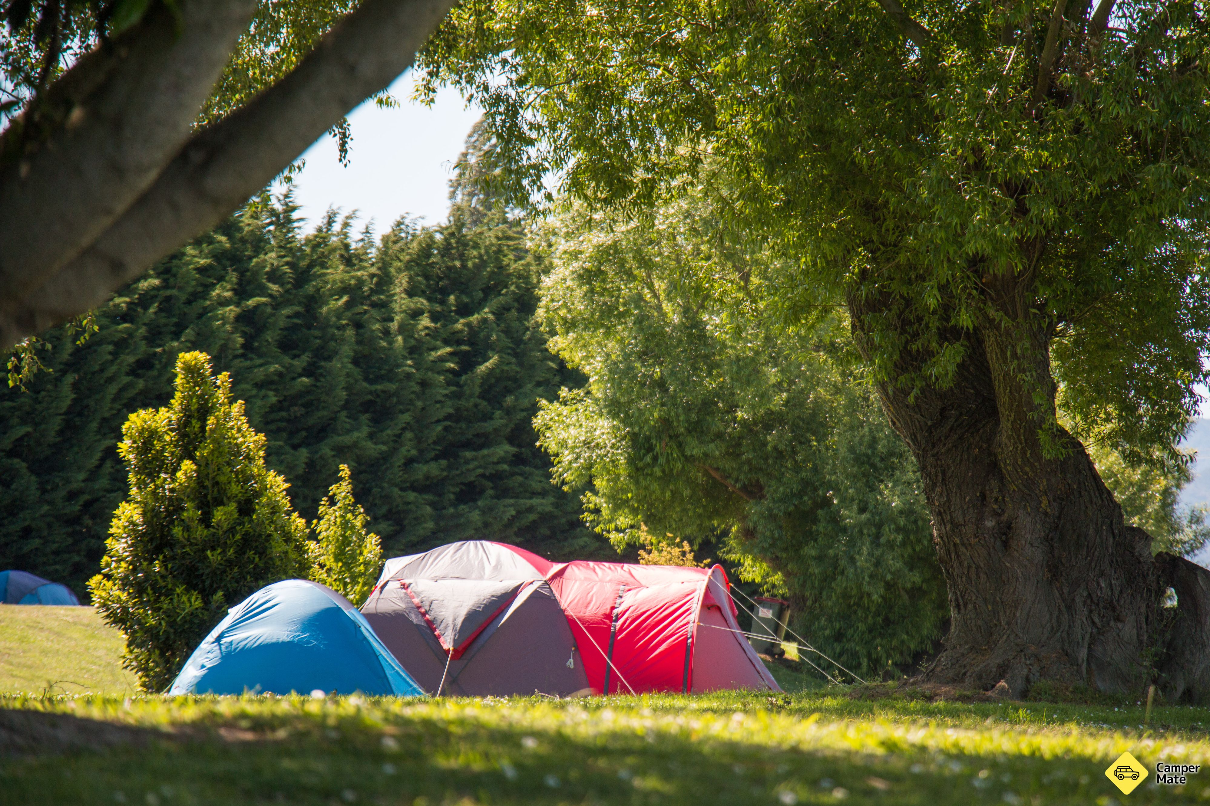 Hoteles en Blenheim Bridges Holiday Park - Image 2