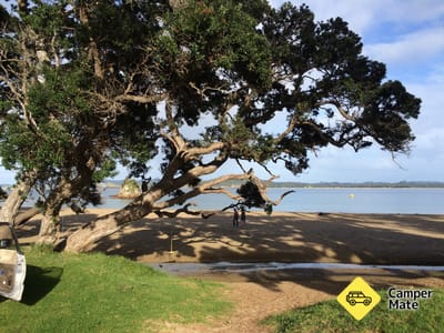 Wellingtons Bay - main reserve (Whangaumu Reserve) 