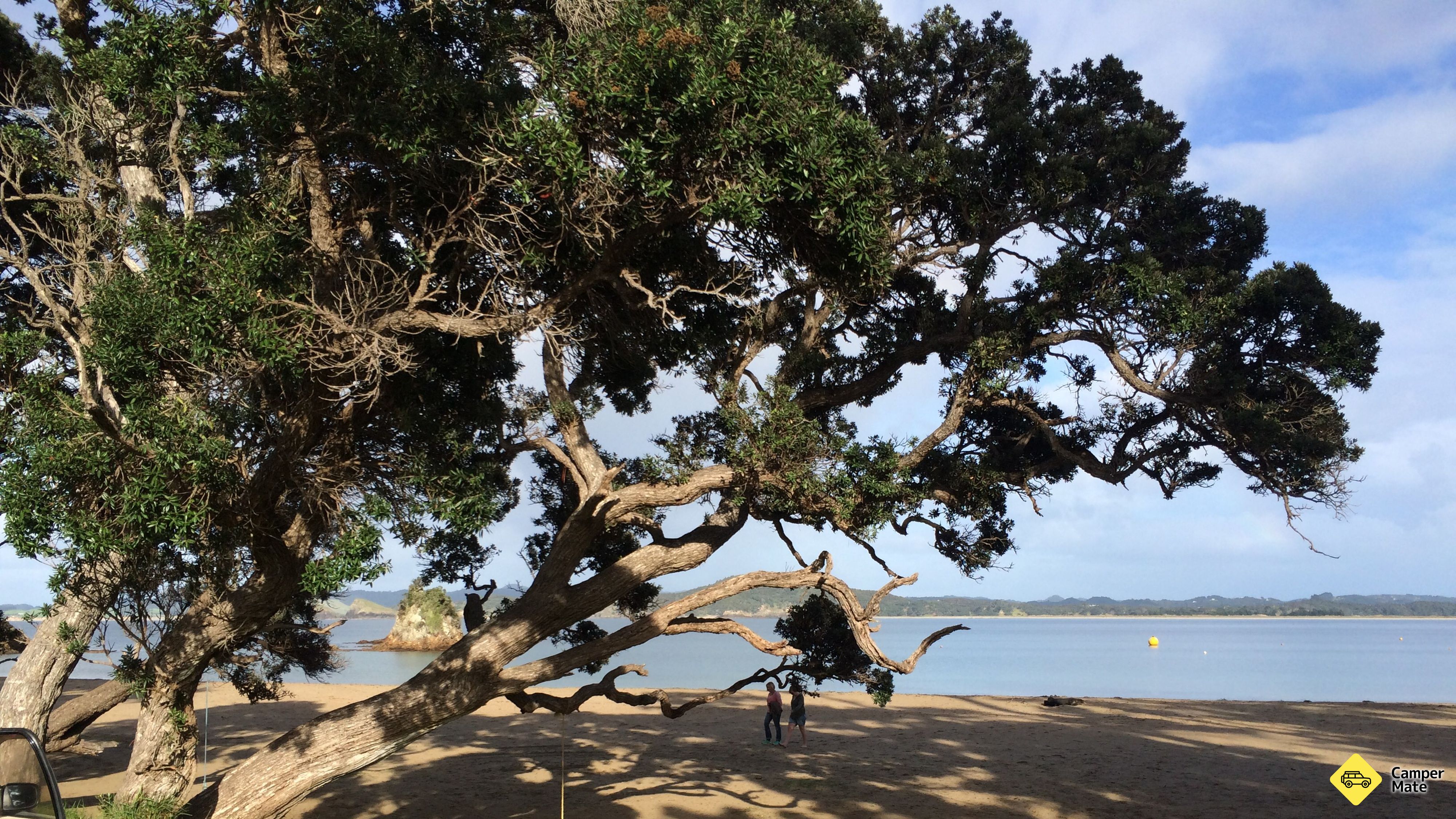Wellingtons Bay - main reserve (Whangaumu Reserve)