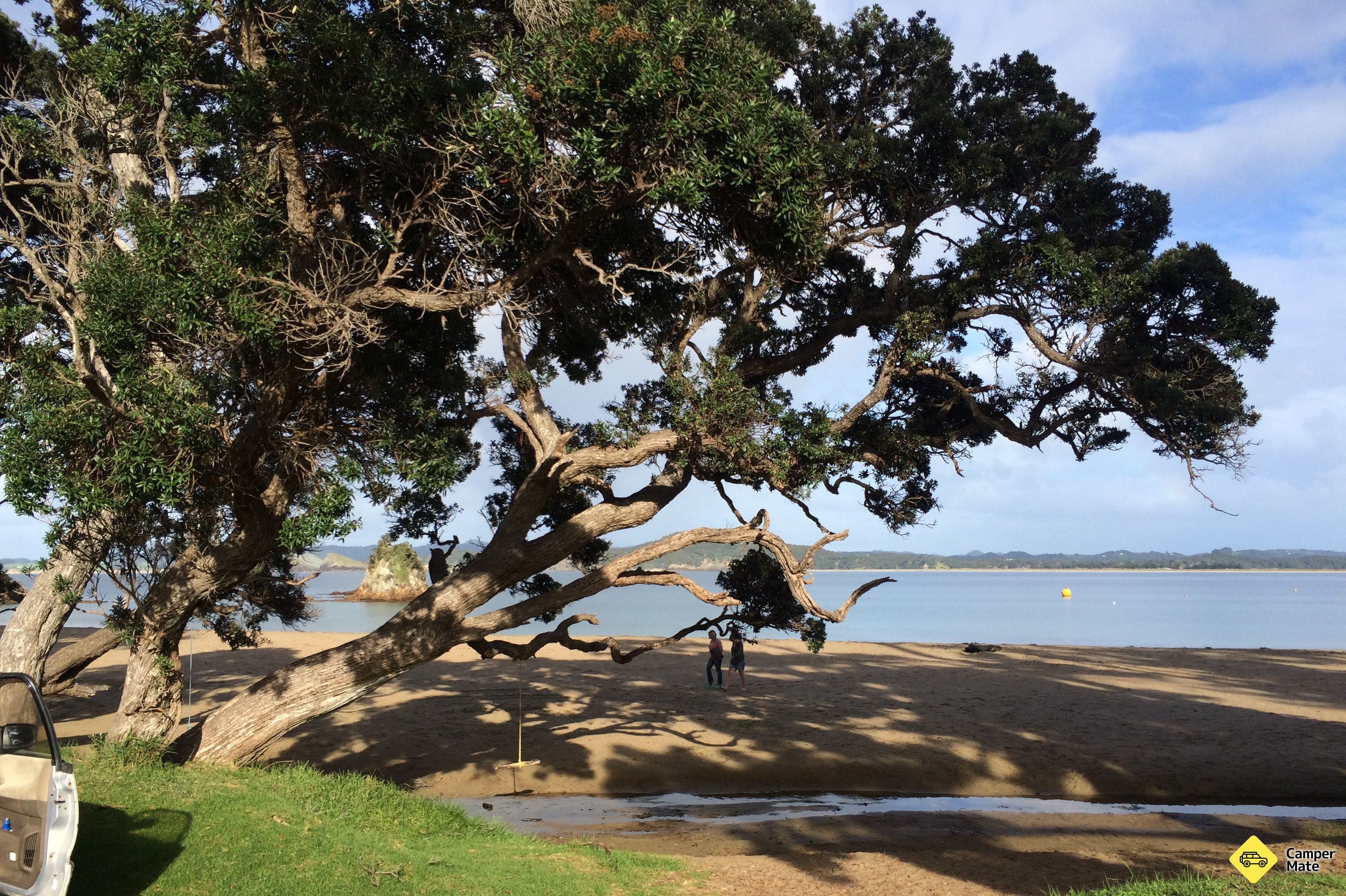 Wellingtons Bay - main reserve (Whangaumu Reserve)