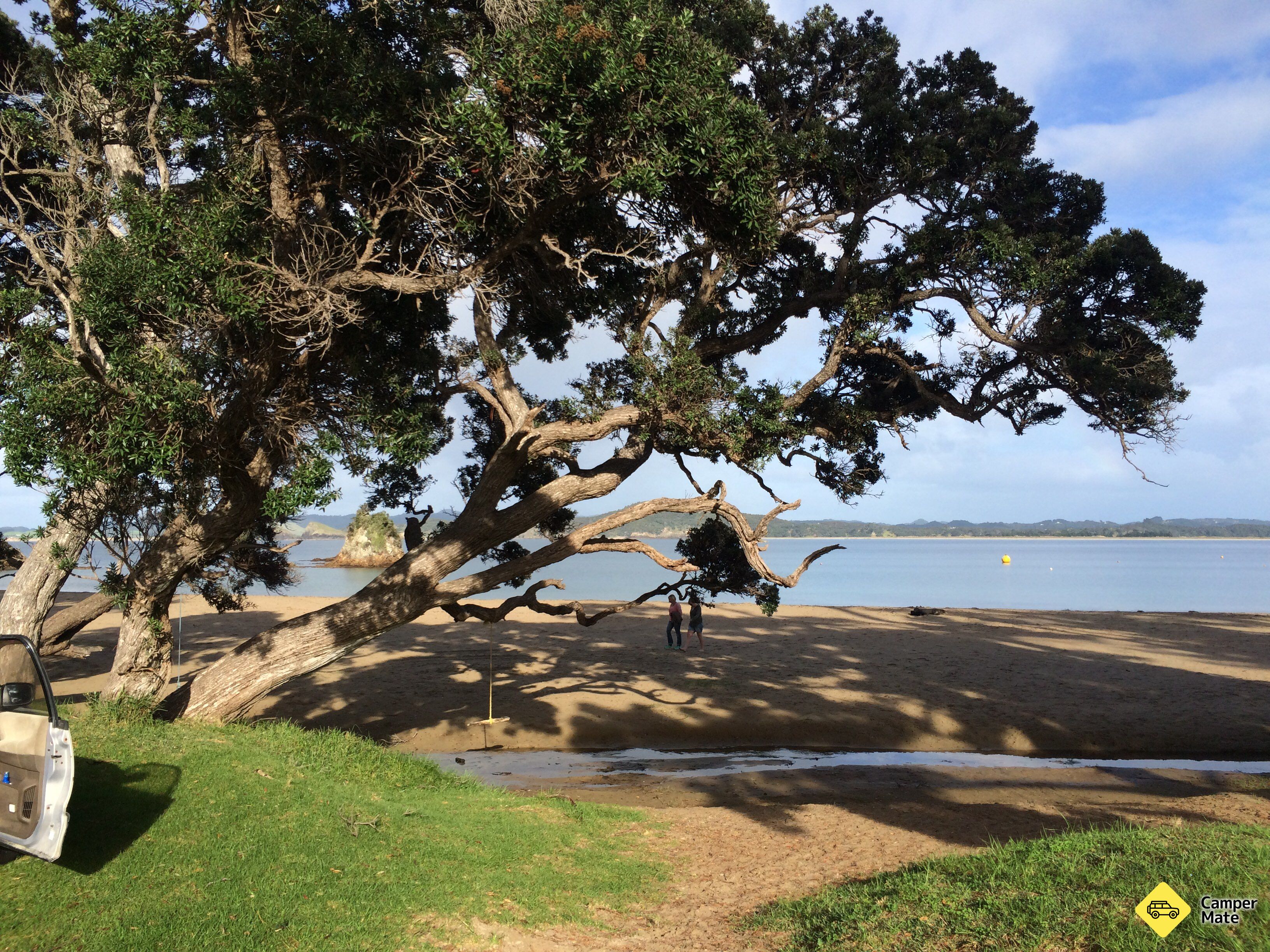 Wellingtons Bay - main reserve (Whangaumu Reserve) 