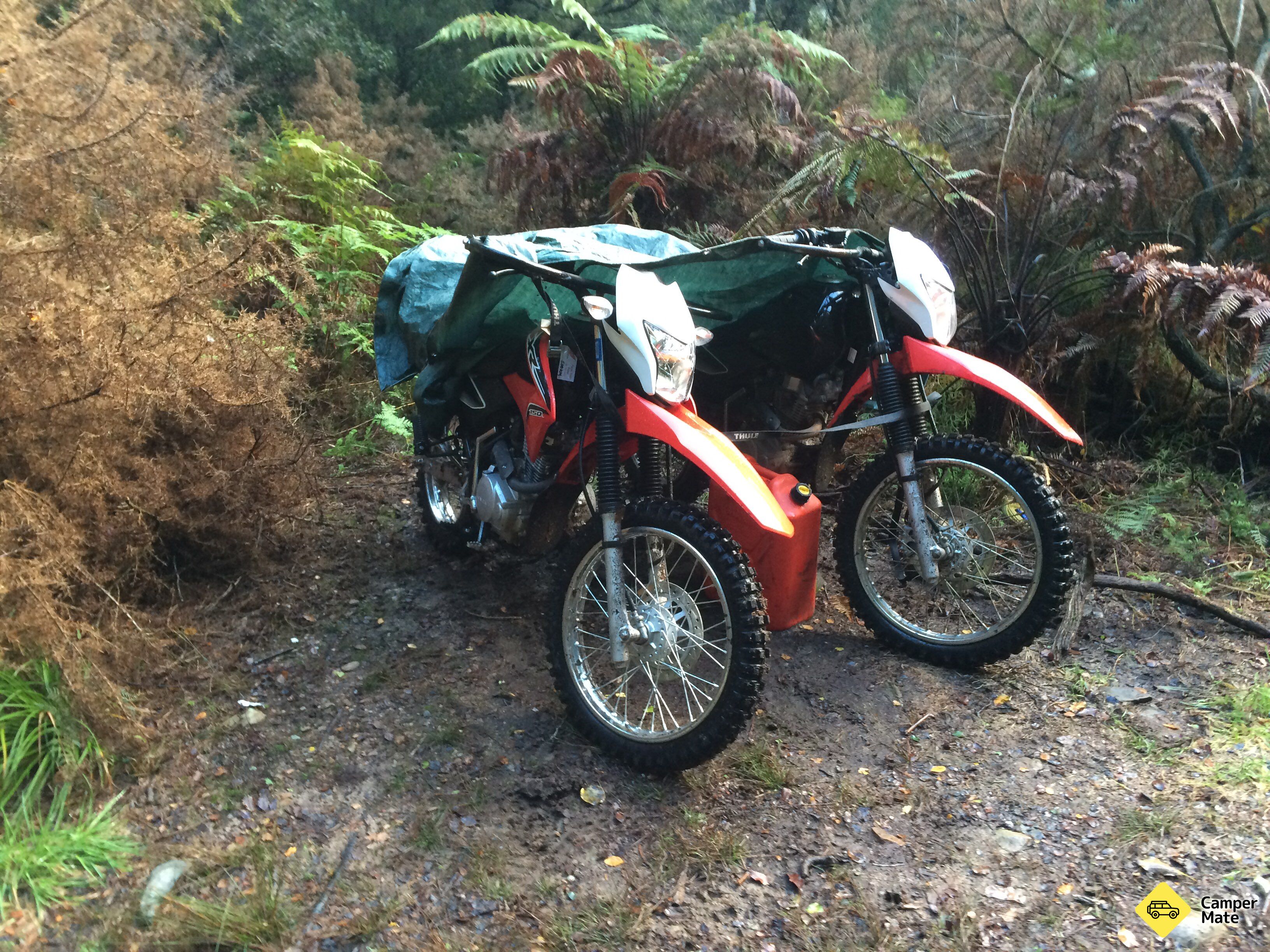 Lyell Campsite - Image 2