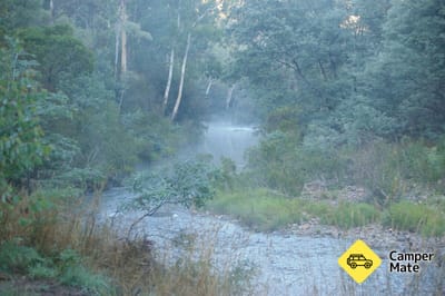 Grannys Flat Camping Reserve