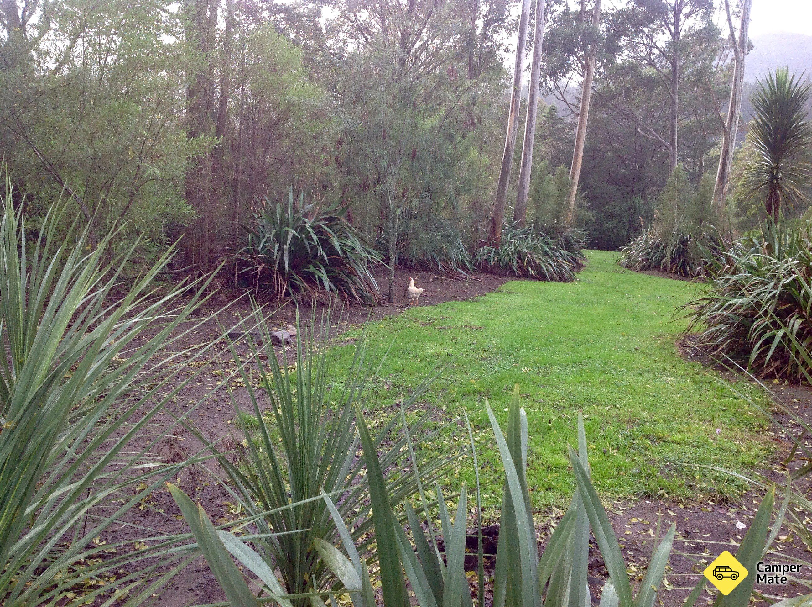Uruwhenua Reserve - Image 2
