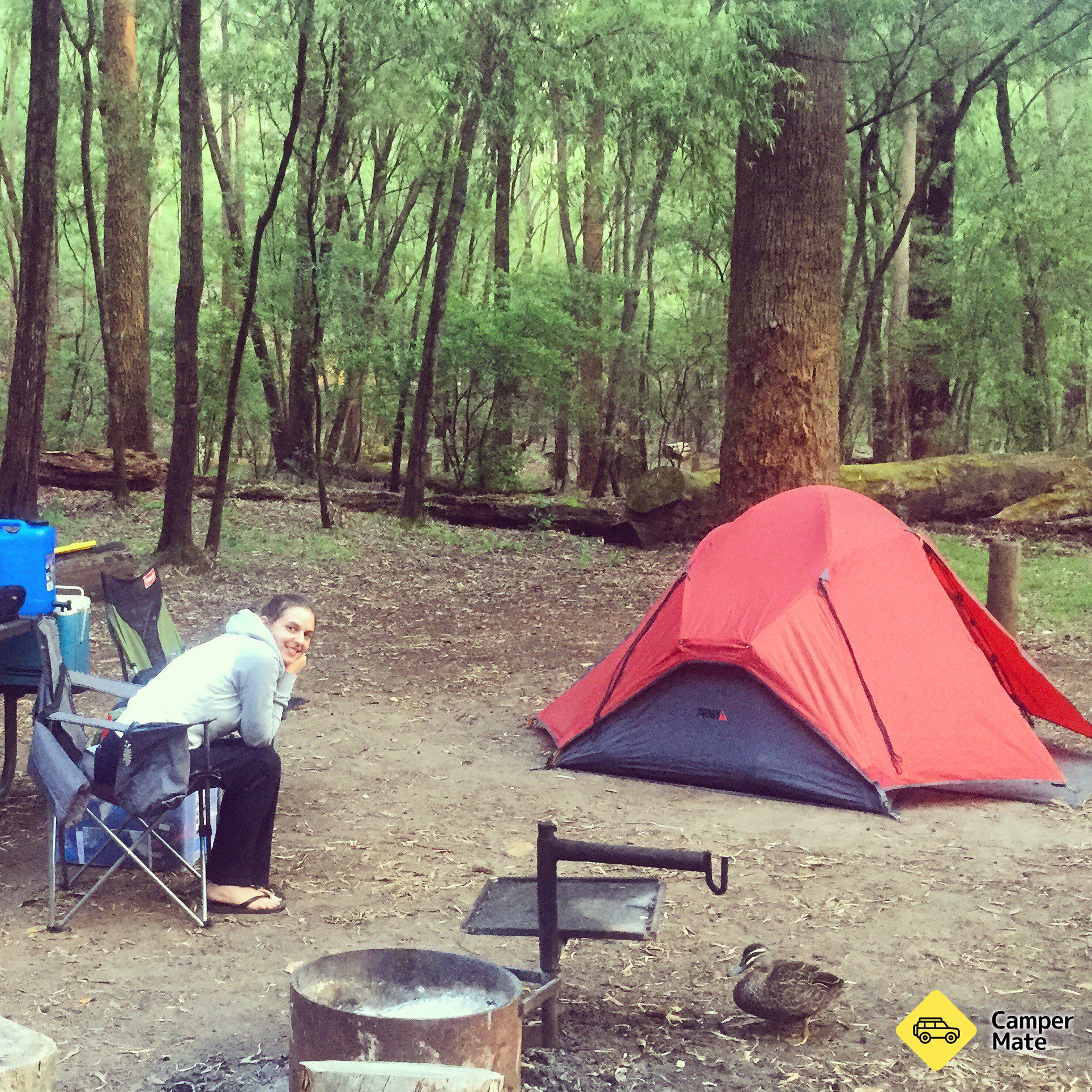 Hal yang dapat dilakukan di dekat Stones Brook Campground