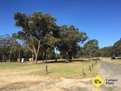 Morisset Showground