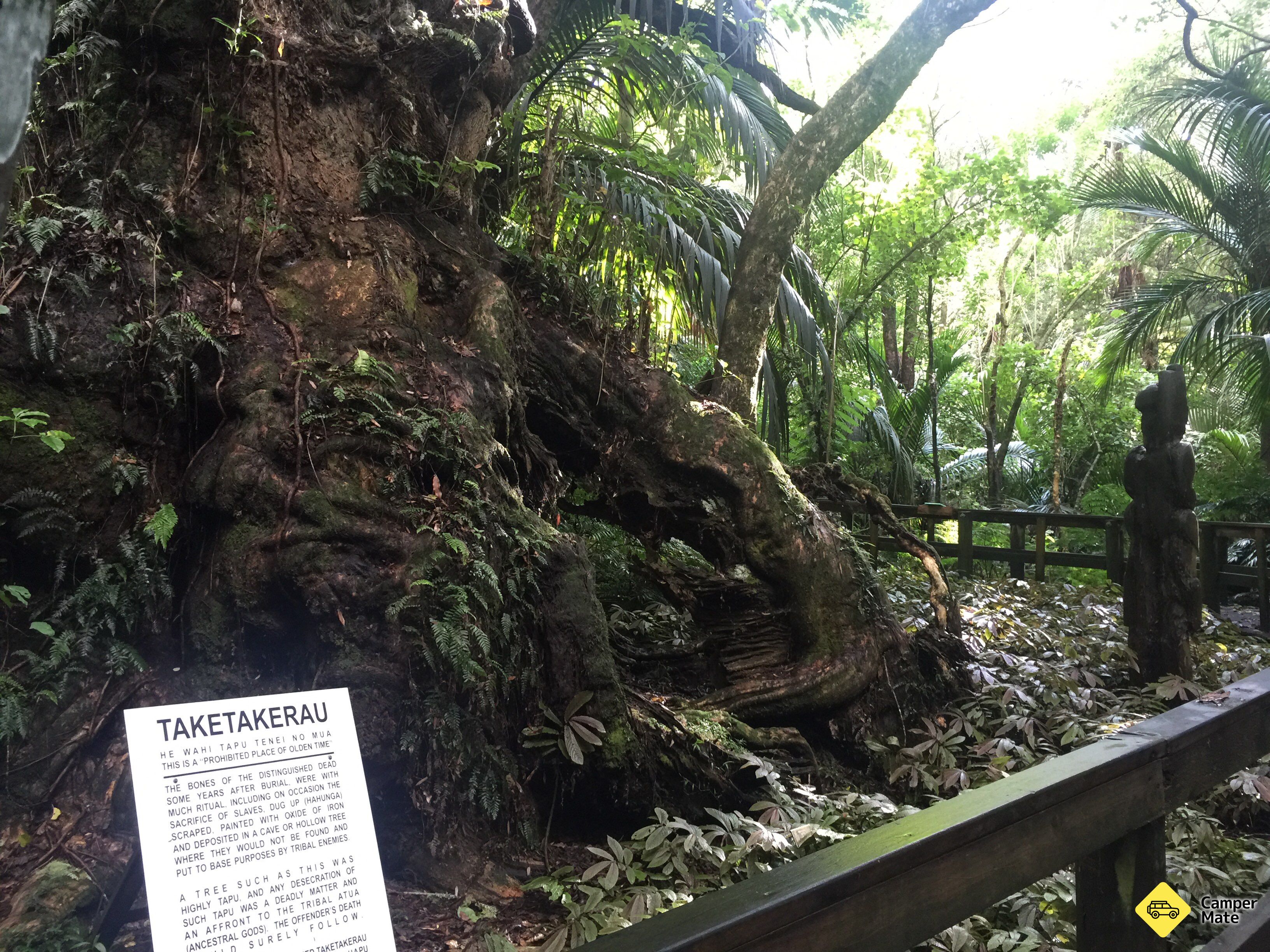 Hukutaia Domain Native Garden - Image 2