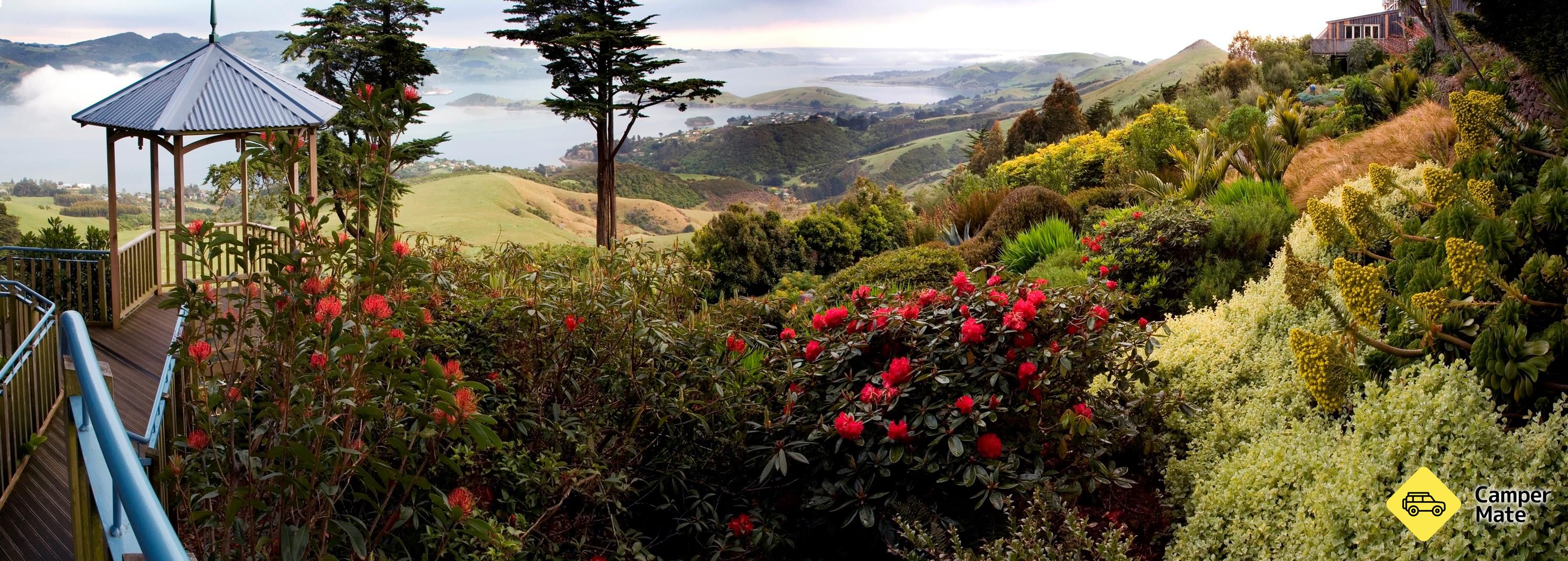 Larnach Castle - Image 3