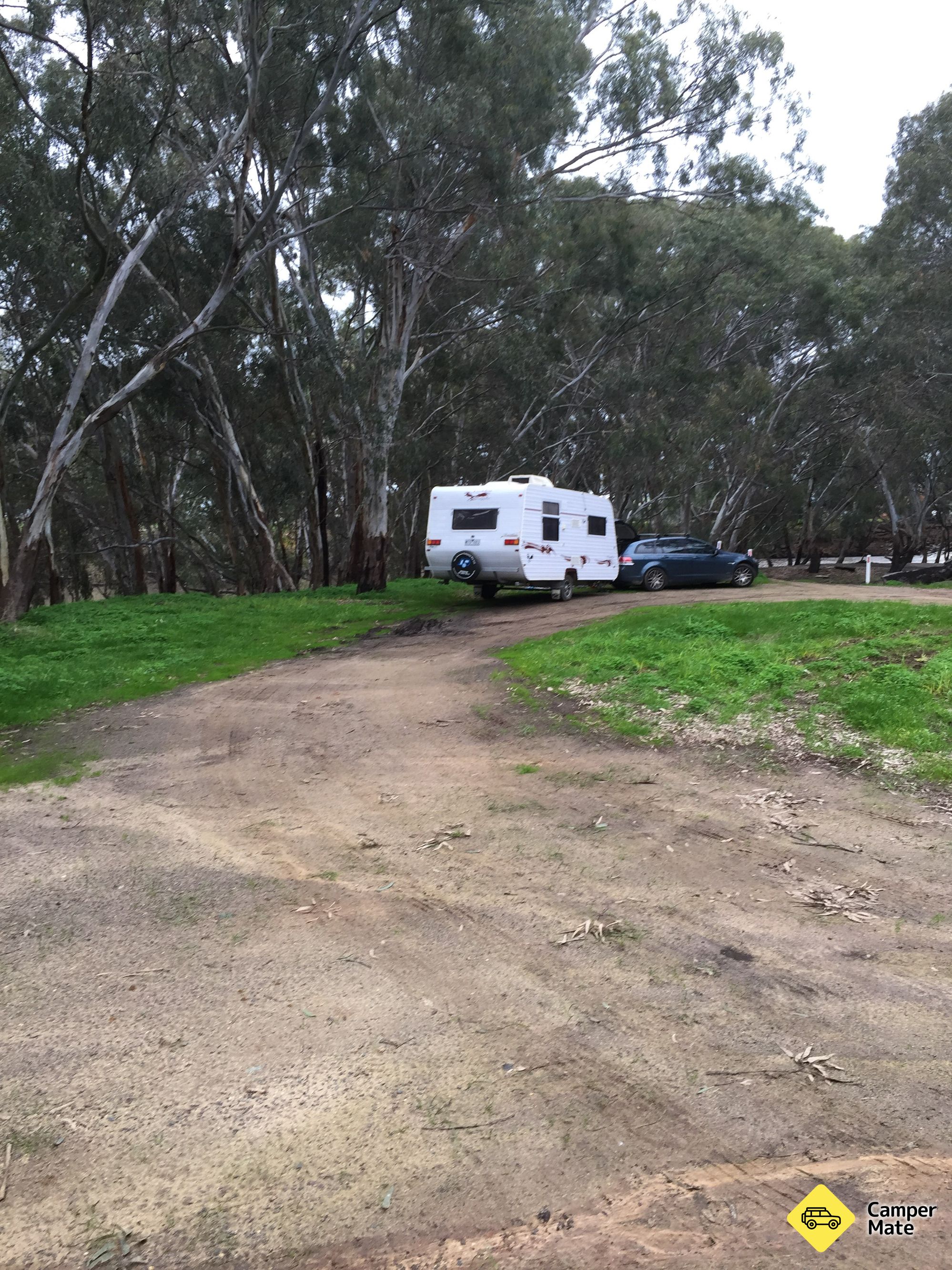 Billabong Creek - Image 2