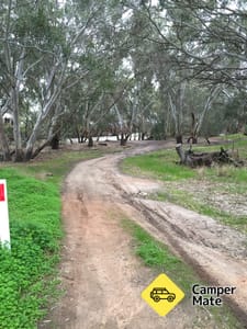 Billabong Creek
