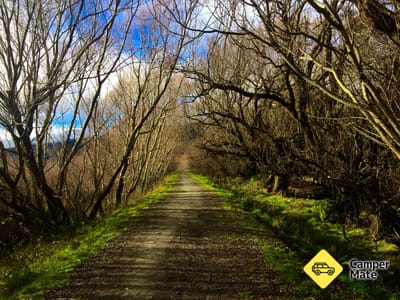 Le Glenorchy Walkway