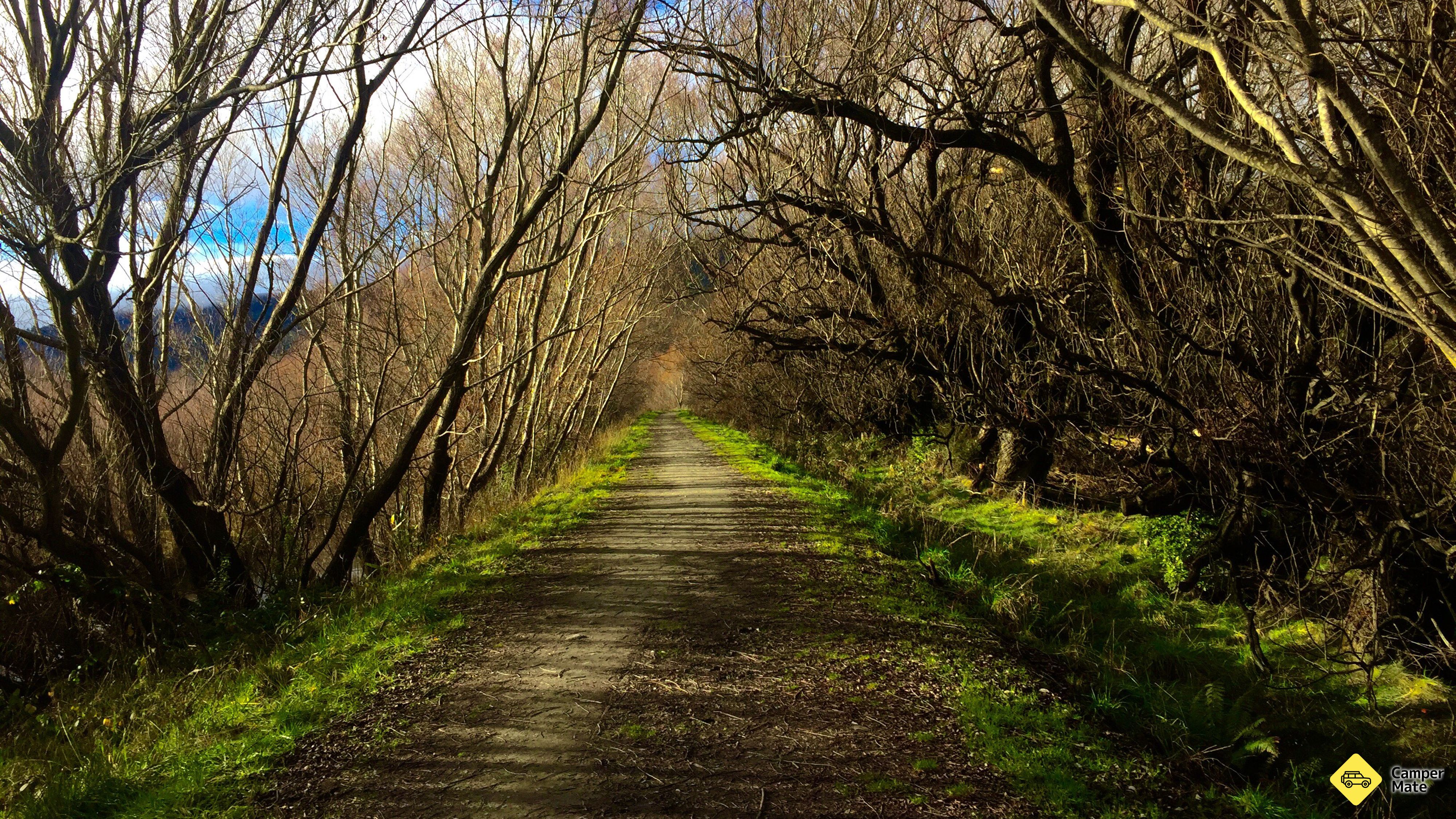 Le Glenorchy Walkway