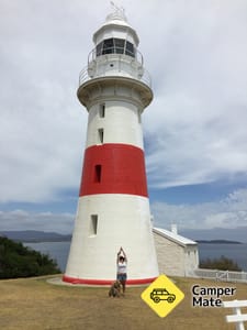 Low Head Foghorn