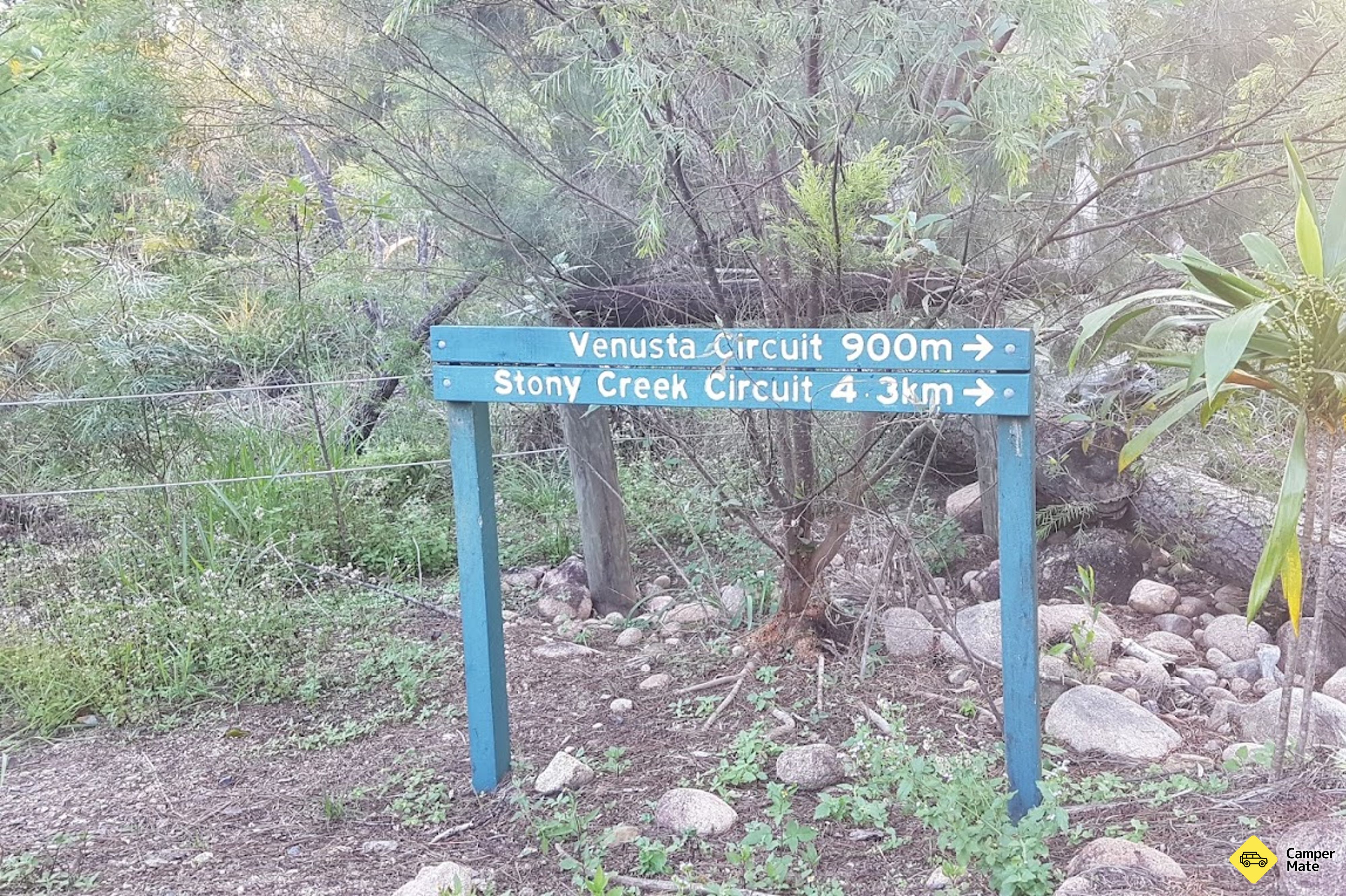 Circuito di Stony Creek Rainforest - Image 2
