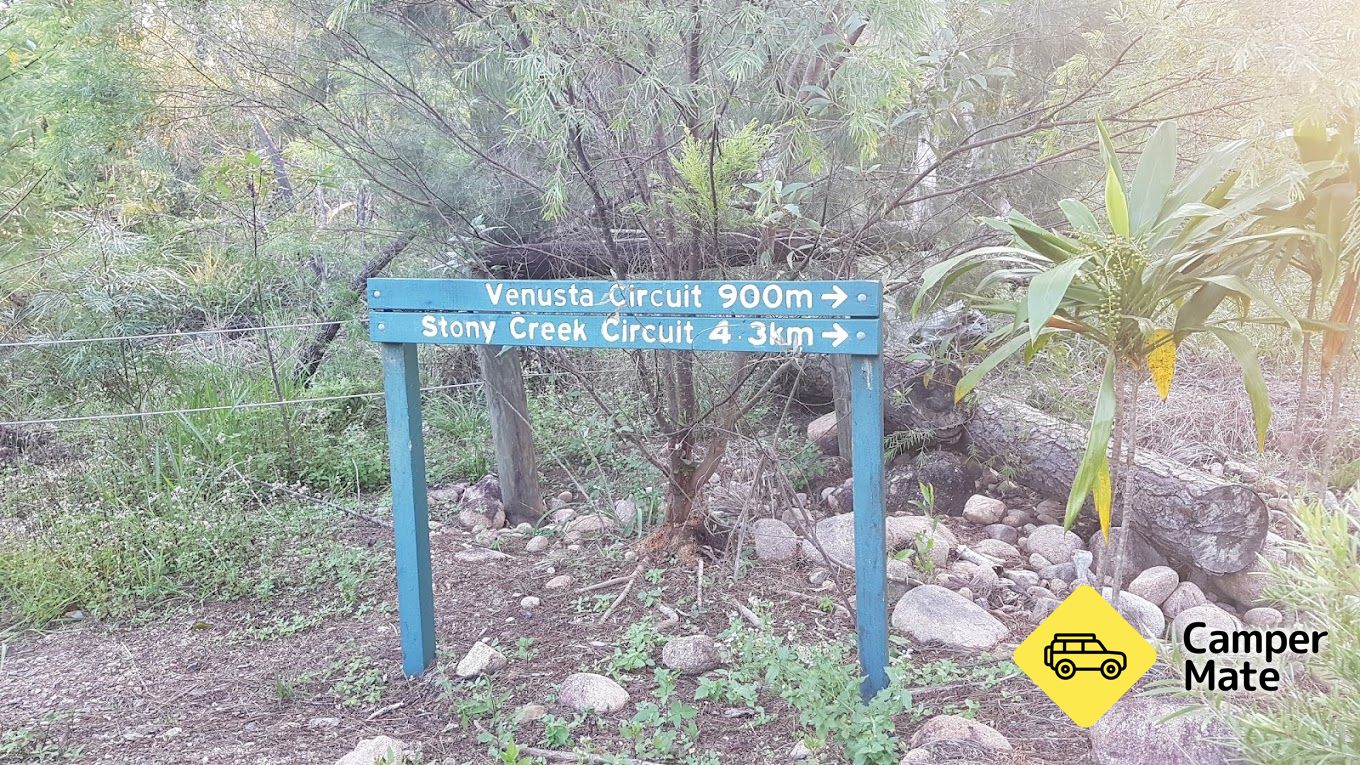 Stony Creek Rainforest Circuit - Image 2