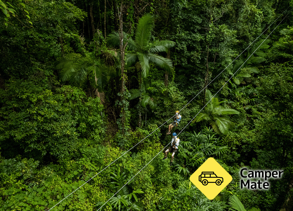 Treetops Adventure Cape Tribulation के बारे में टिप्पणियाँ - Image 3