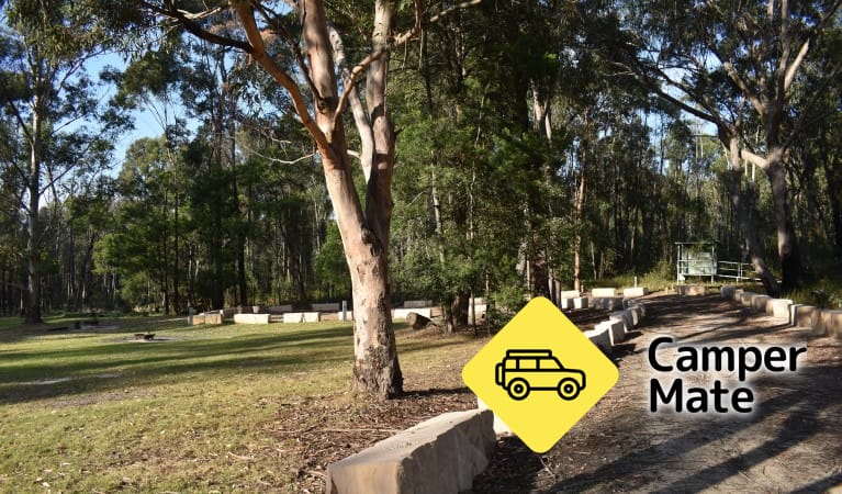 Mogo Campground - Image 3