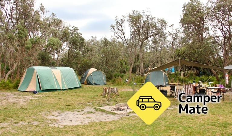 Activiteiten in de omgeving van Picnic Point Campground