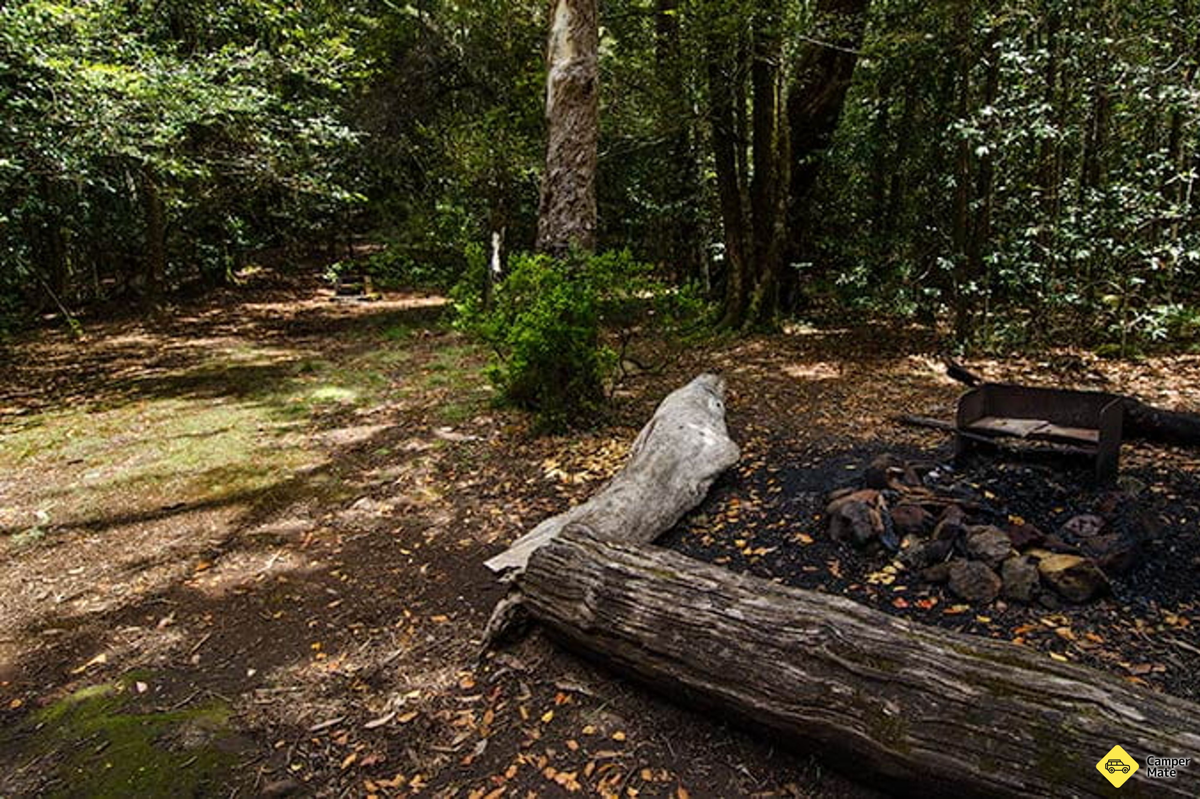 אטרקציות בWombat Creek Camping