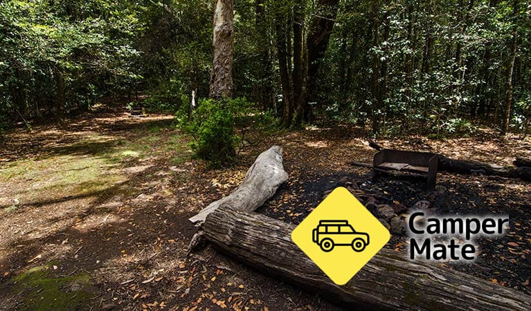 Wombat Creek Campground