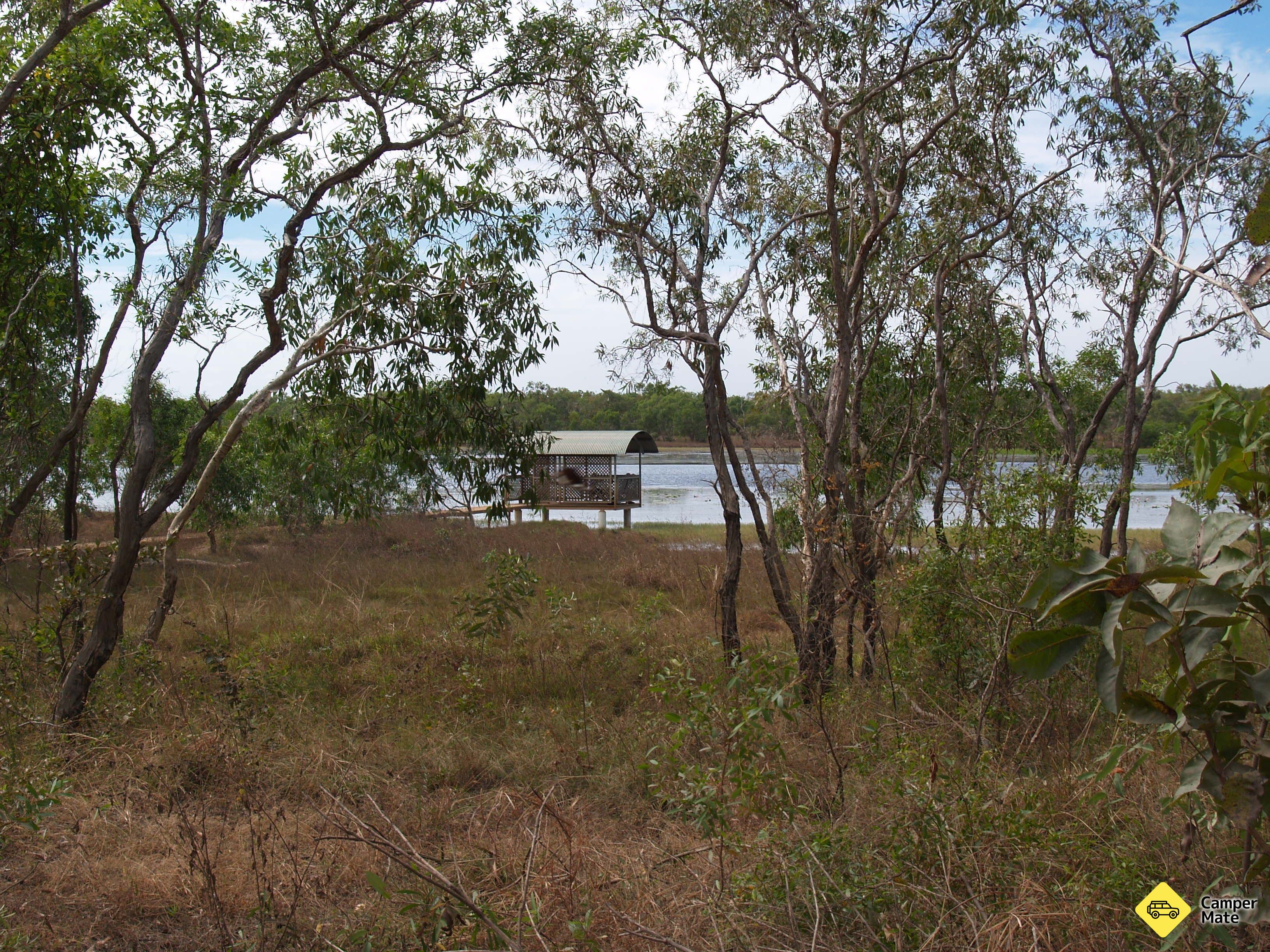 Mary River Bird Billabong