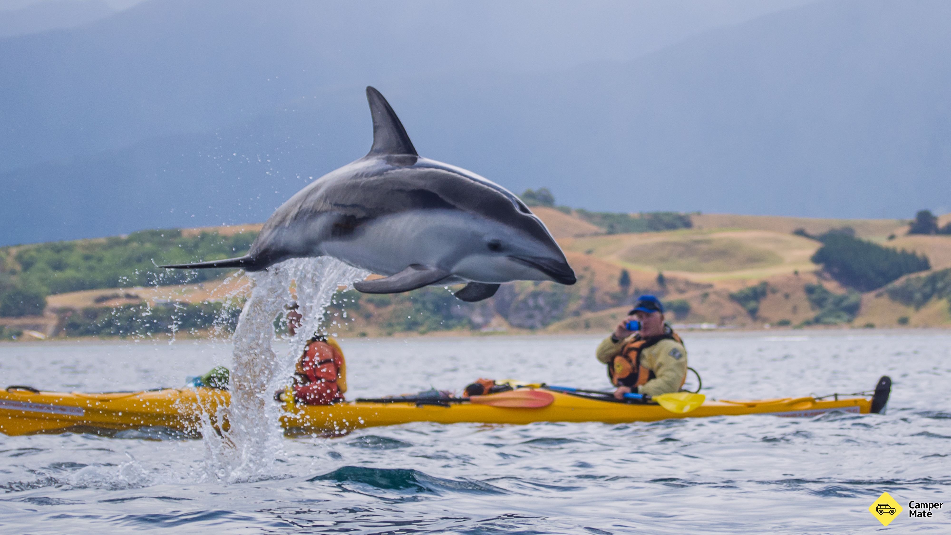 Kaikoura Kayaks