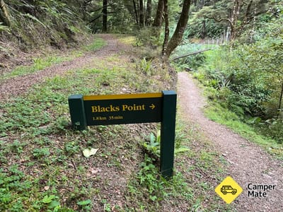 Lankey Creek Tram Track and Black Point