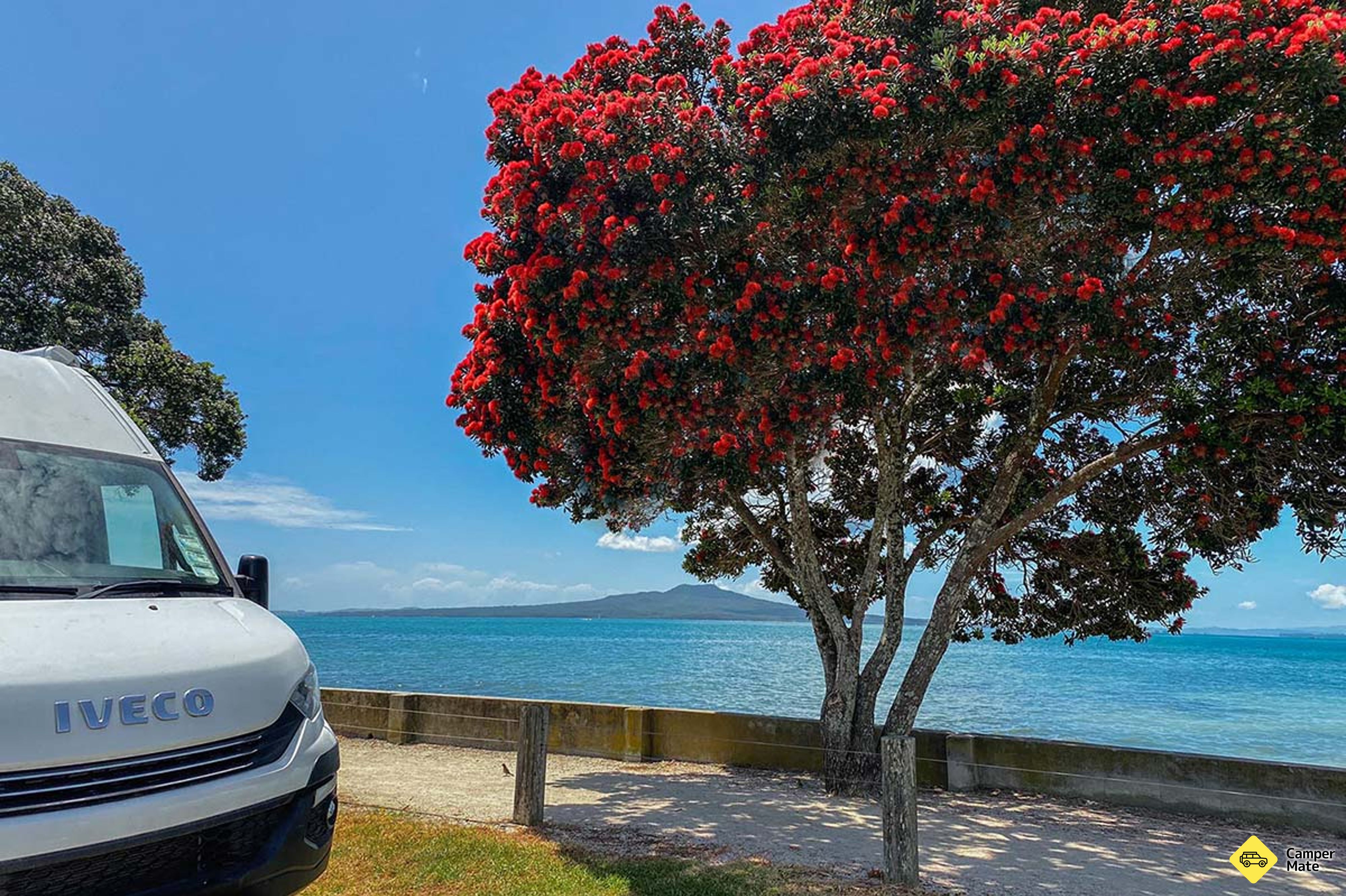Takapuna Beach Holiday Park - Image 2