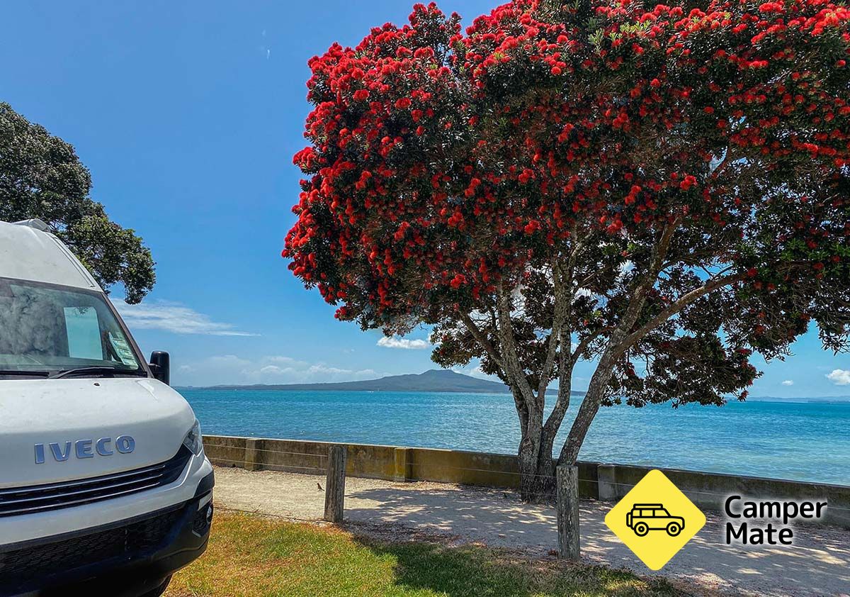 Takapuna Beach Holiday Park - Image 2