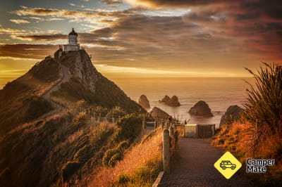 Activiteiten in de omgeving van Nugget Point Lighthouse