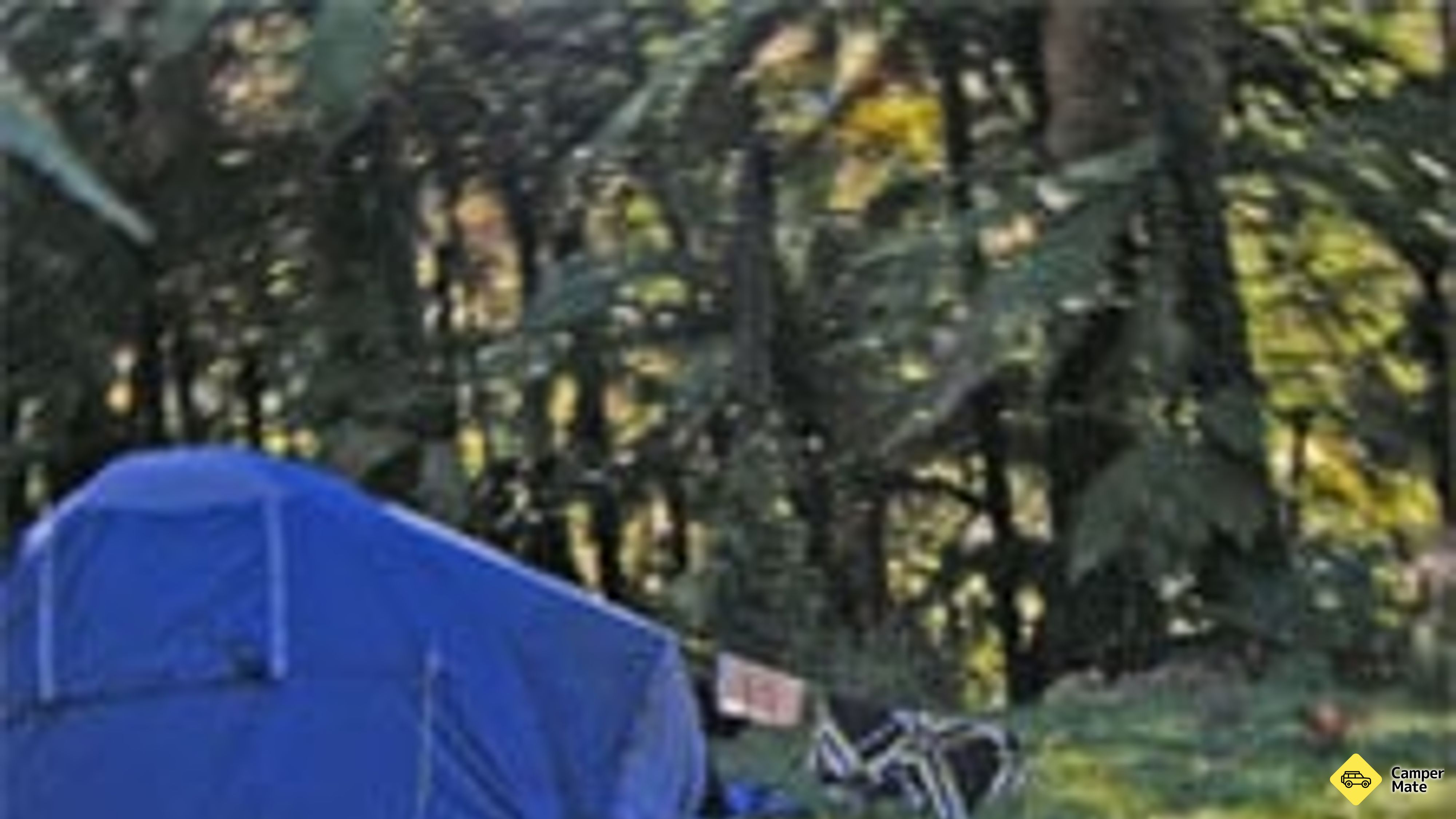 Mangawaiiti campingplads