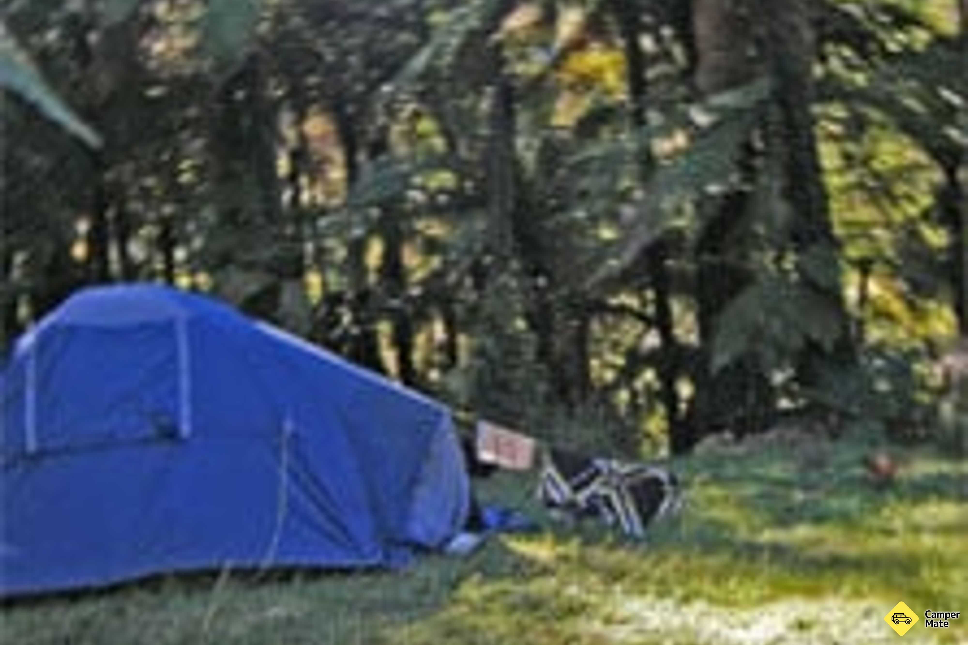 Mangawaiiti campingplads