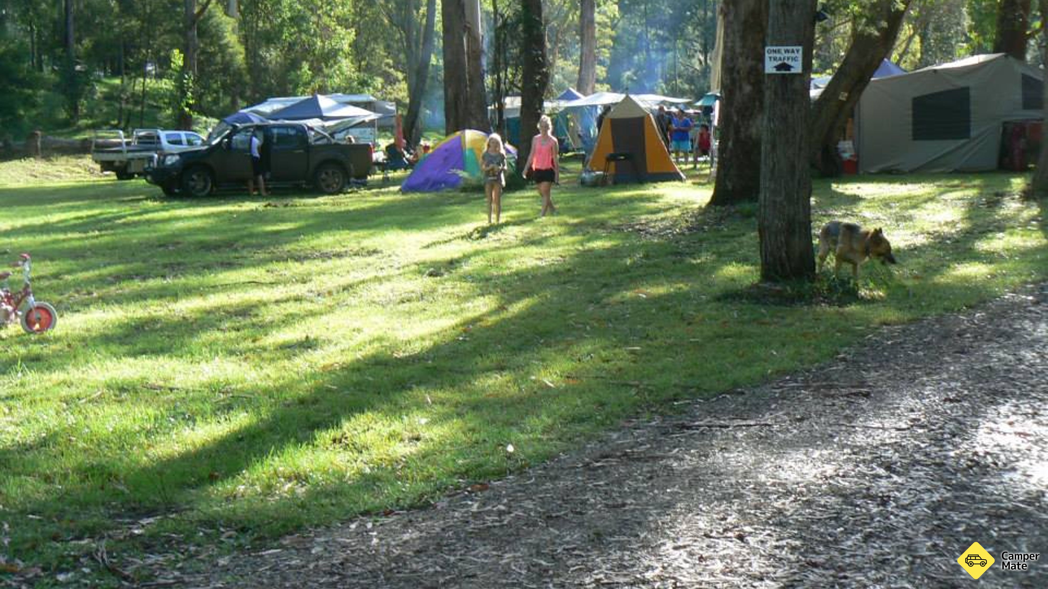Goomburra Wald Rückzug