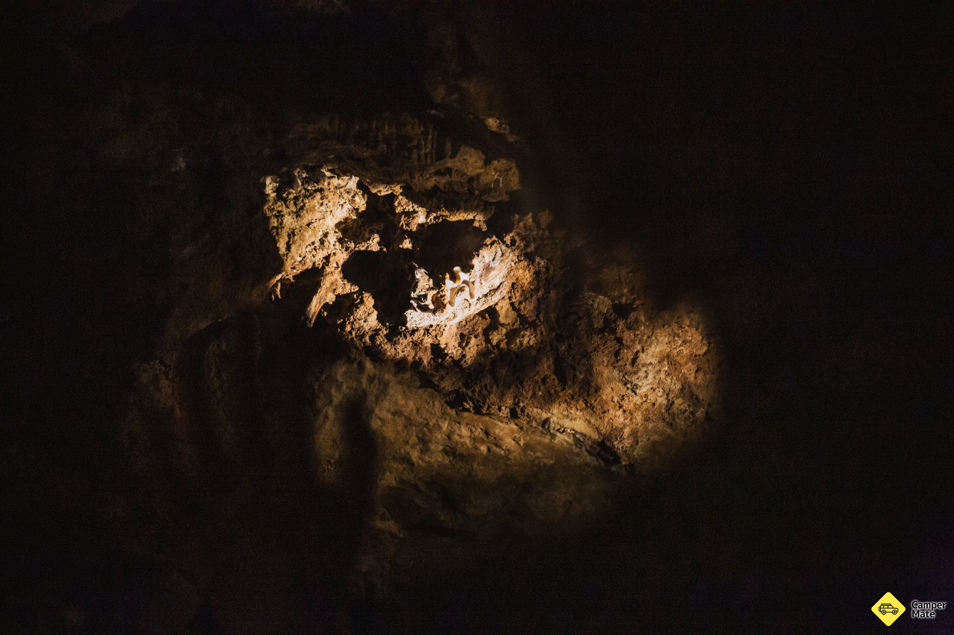 Besøk Mammoth Caves - Image 3