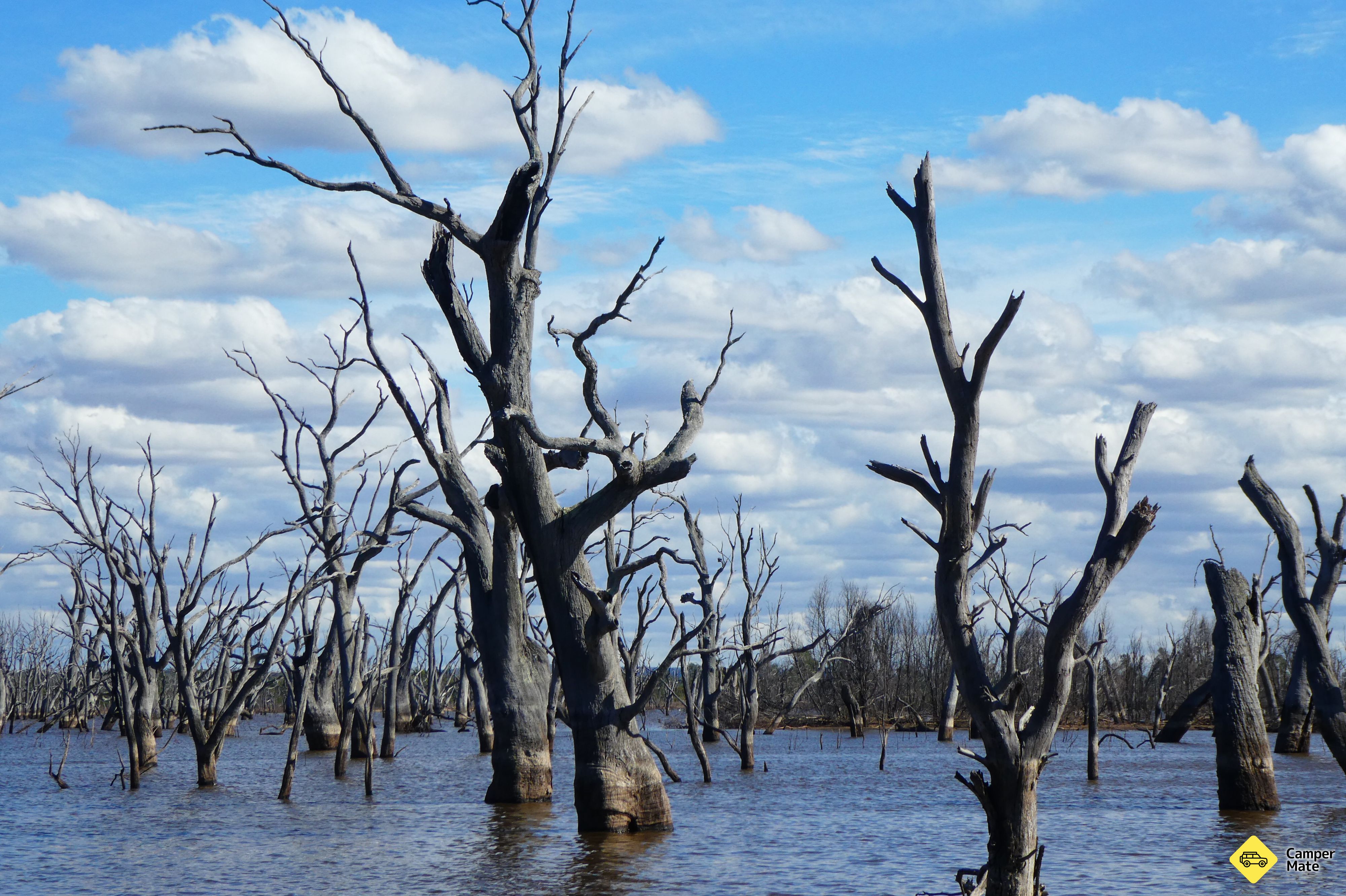 Hynes Camping Reserve - Image 3
