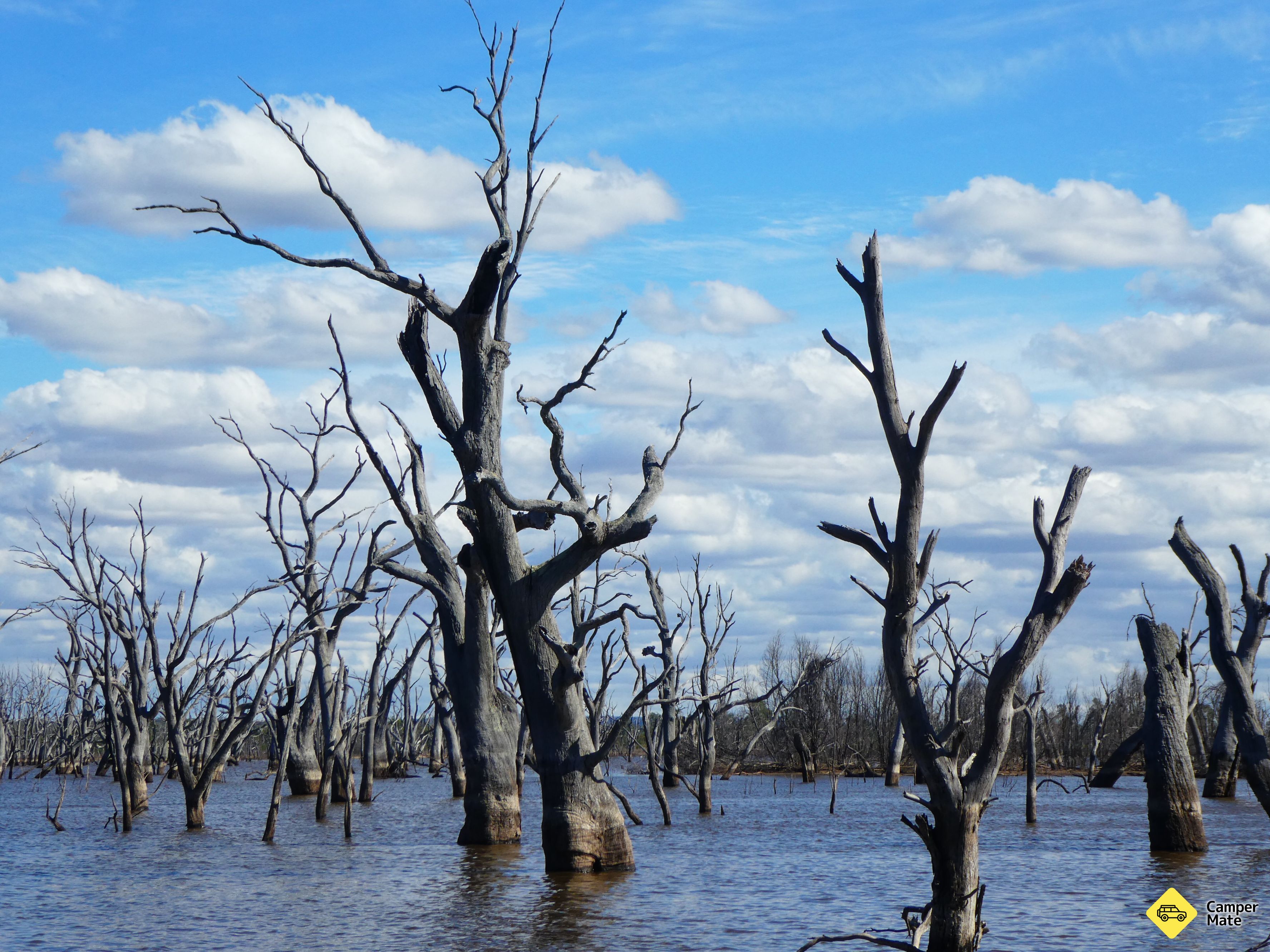 Hynes Camping Reserve - Image 3