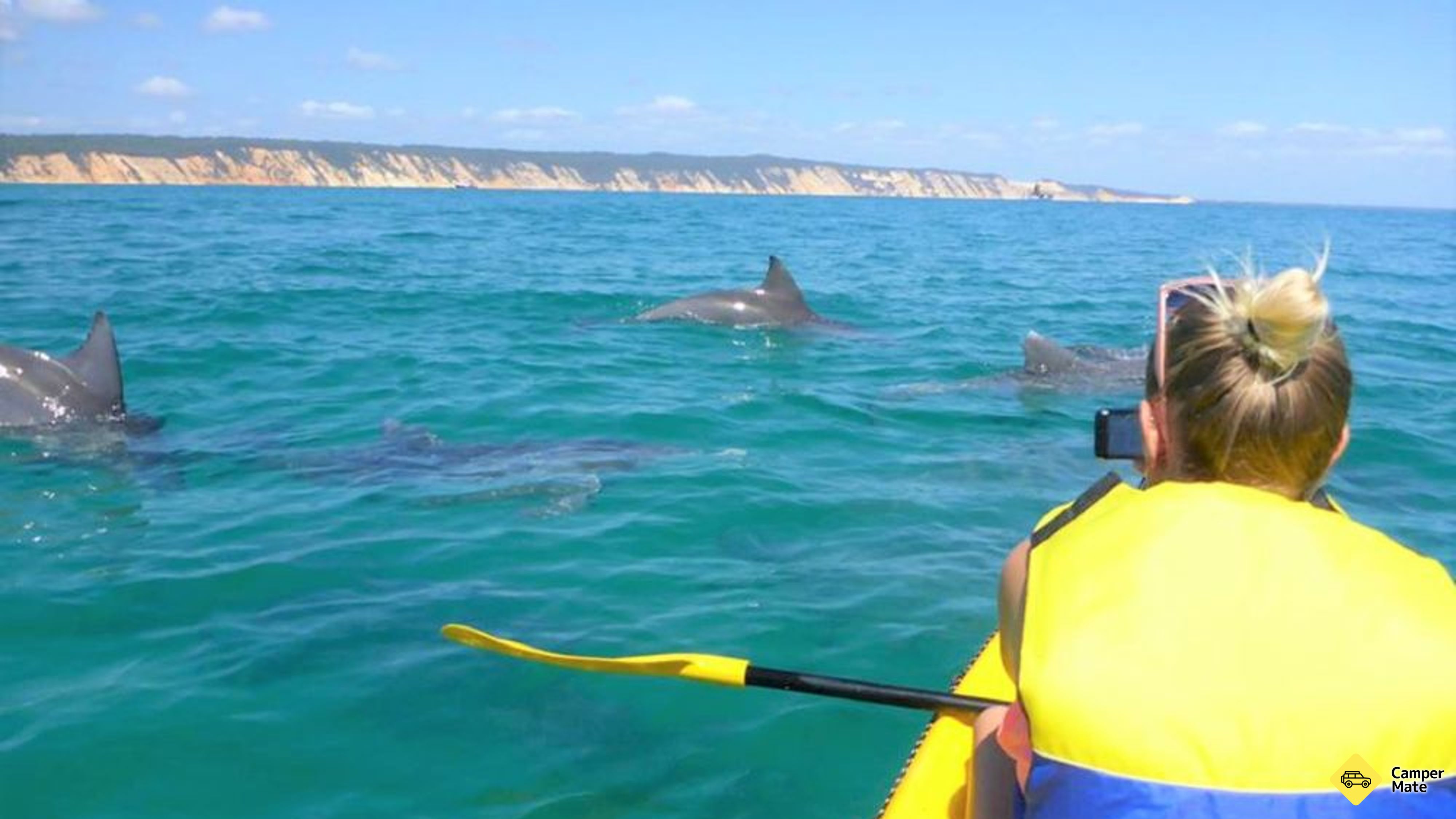 Læs mere om Noosa Dolphin View Kayak Tour