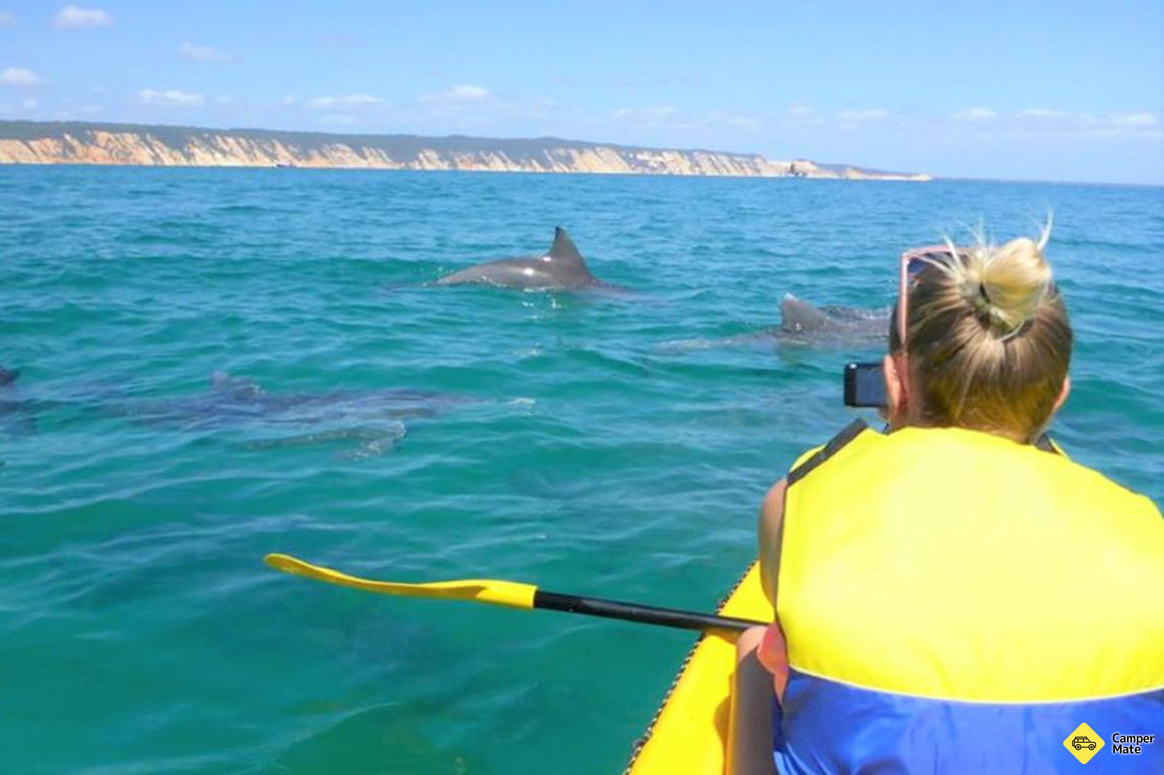 Læs mere om Noosa Dolphin View Kayak Tour