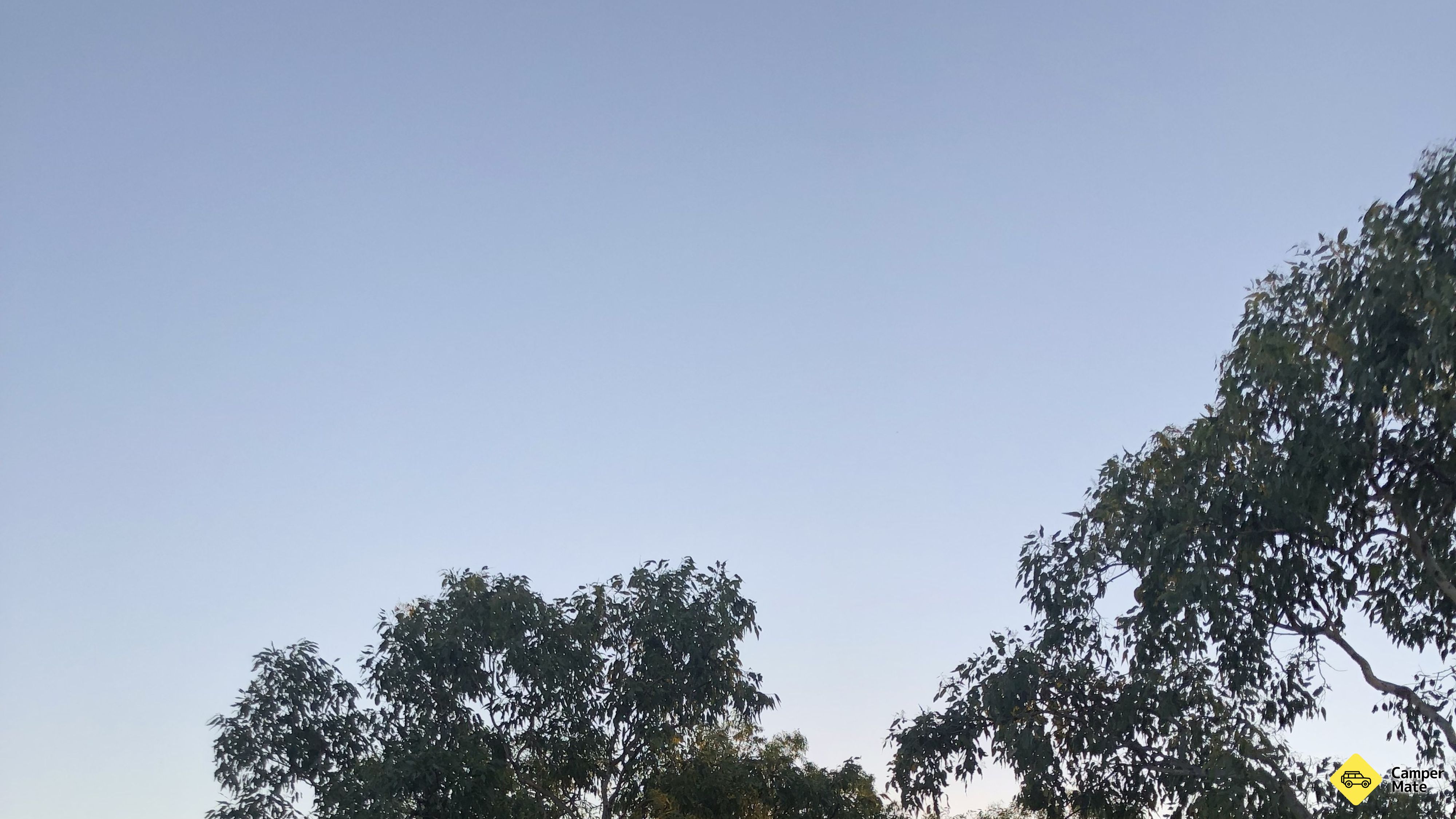Birdwood Downs