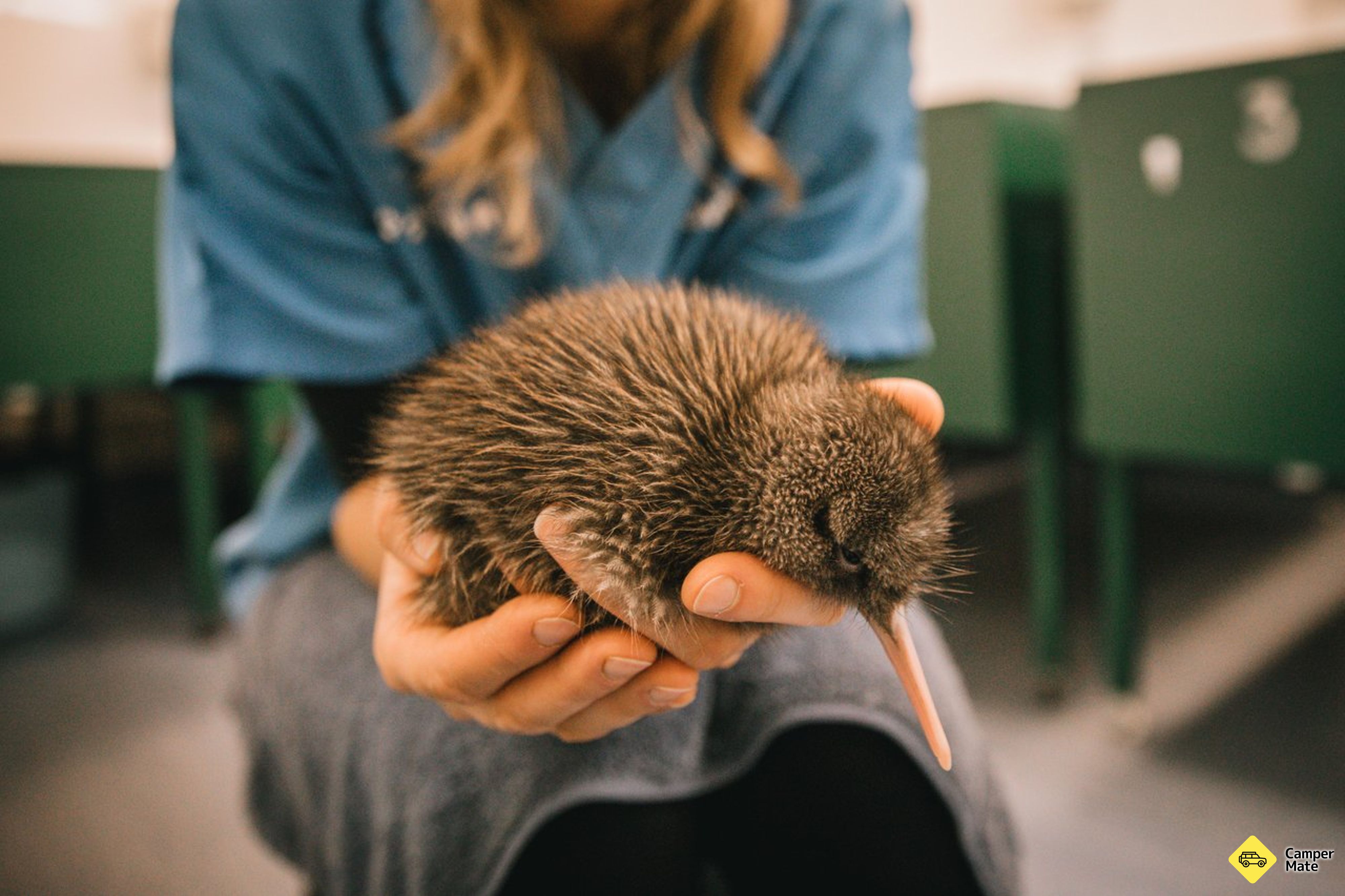 West Coast Wildlife Centre