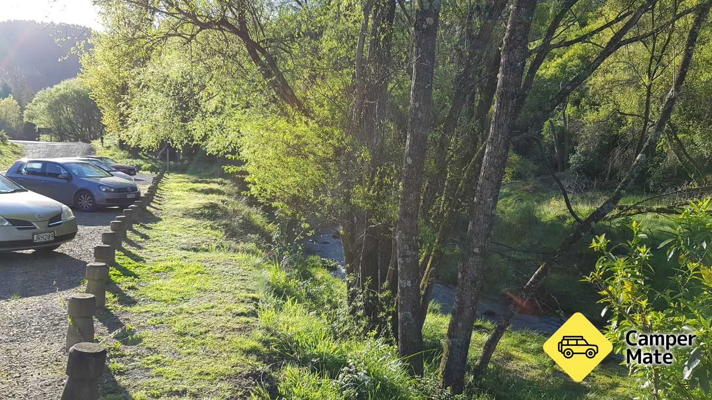 Tangoio Falls Campsite - Image 3
