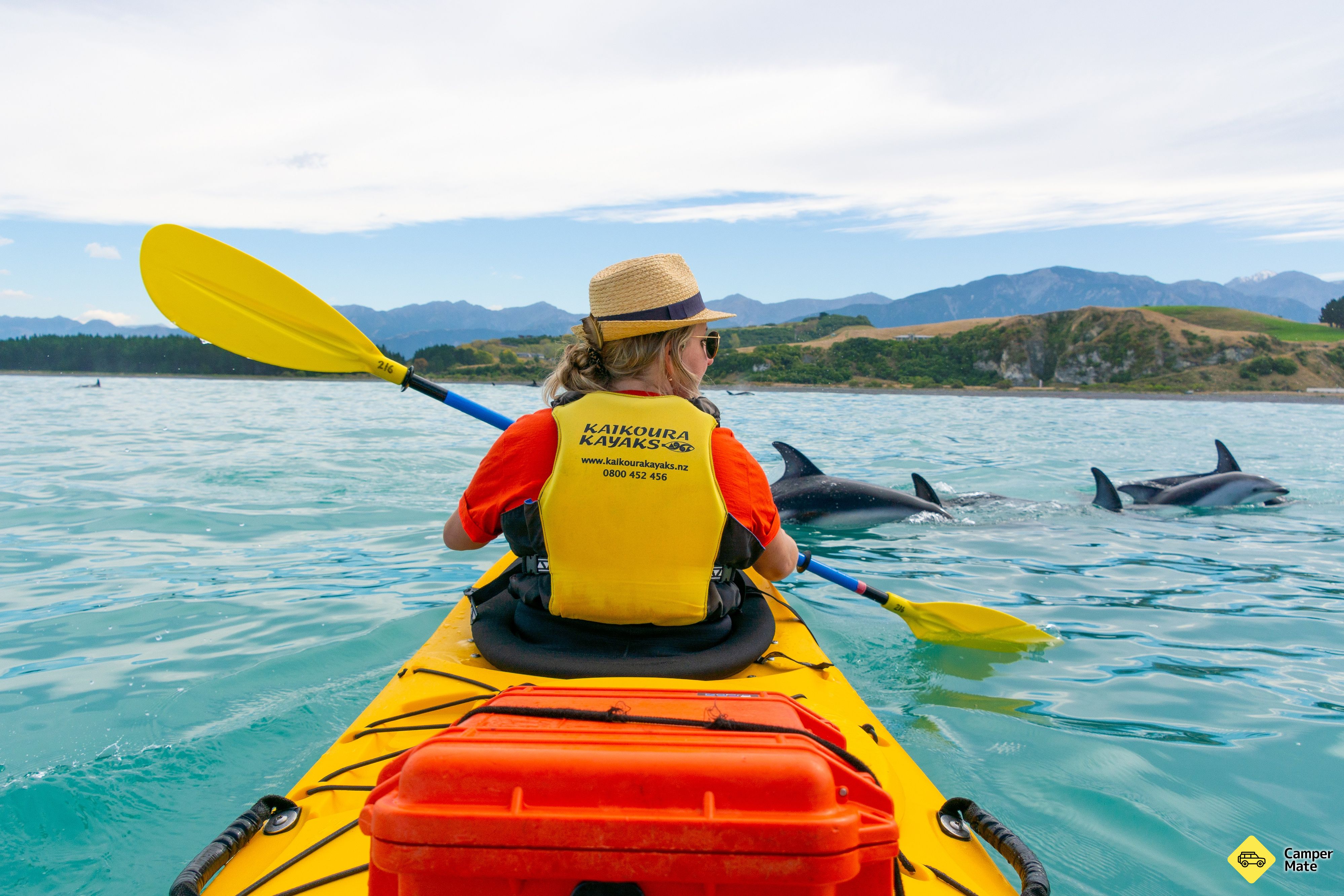 Kaikoura Kayaks - Image 3