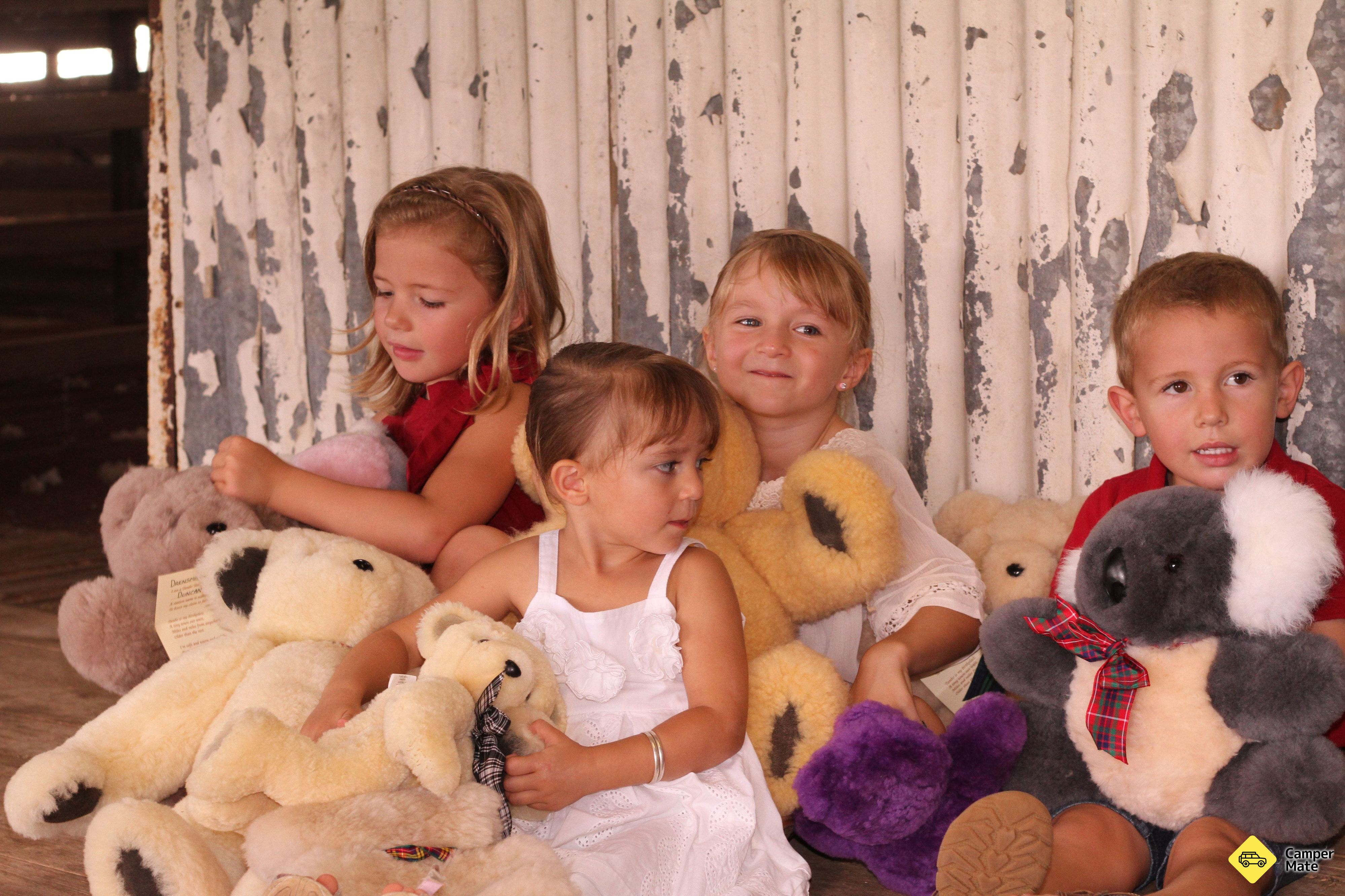 Tambo Teddies